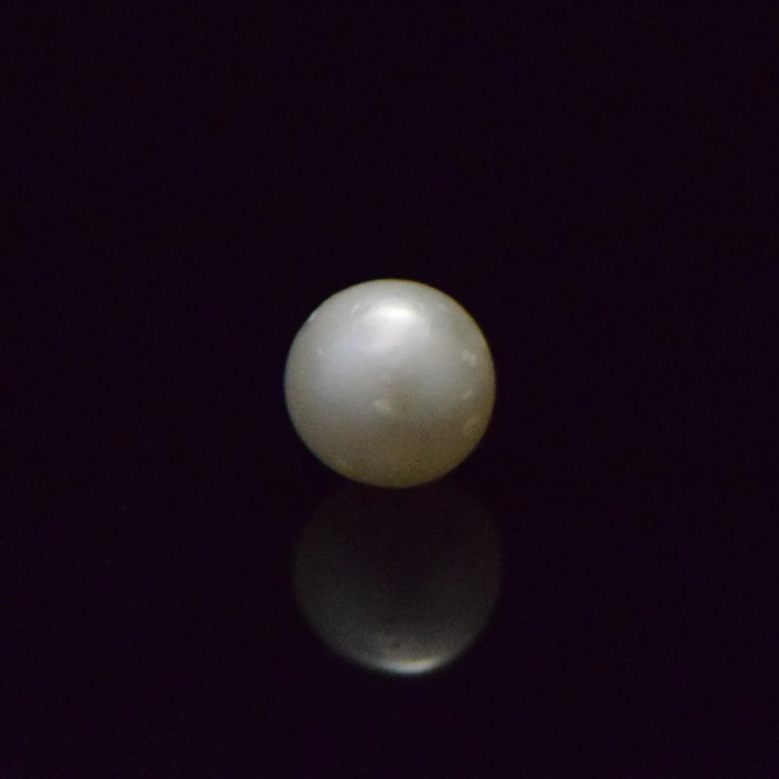 South Sea Pearl - 5.81 Carat