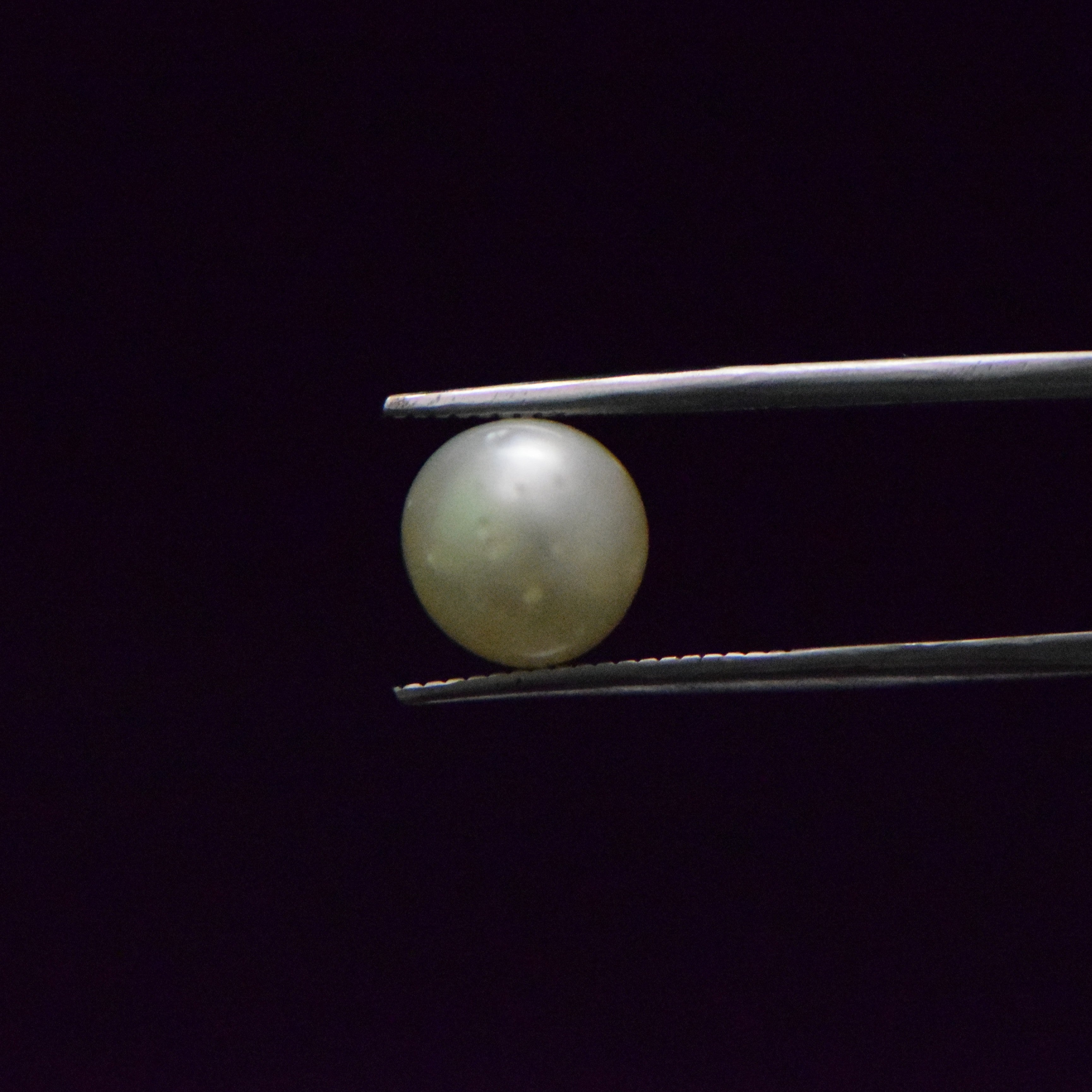 South Sea Pearl - 5.81 Carat
