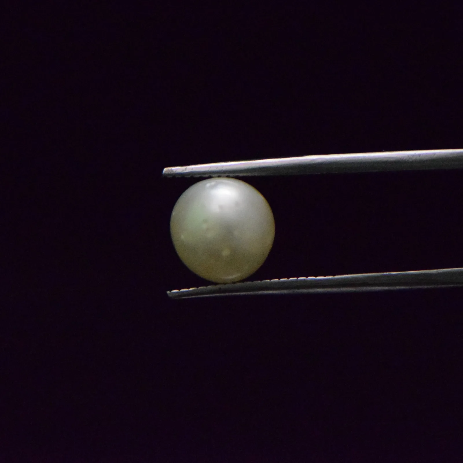 South Sea Pearl - 5.81 Carat