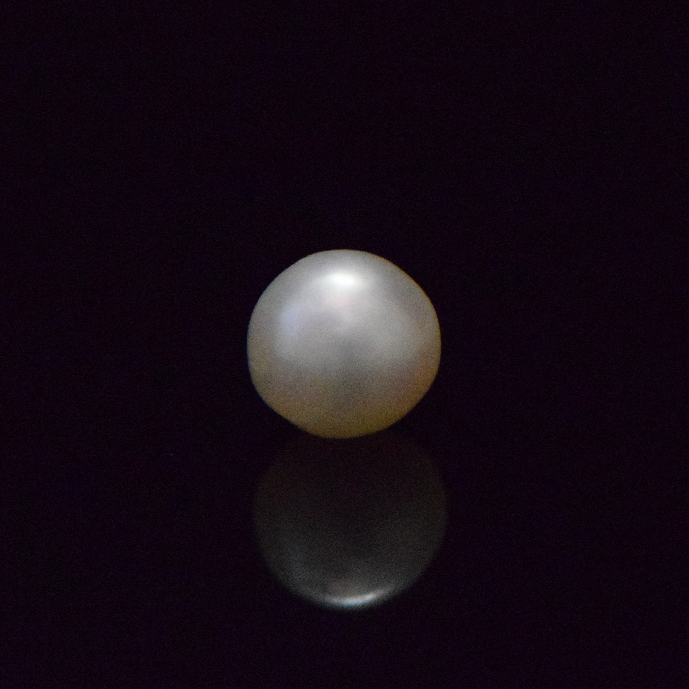 South Sea Pearl - 6.67 Carat
