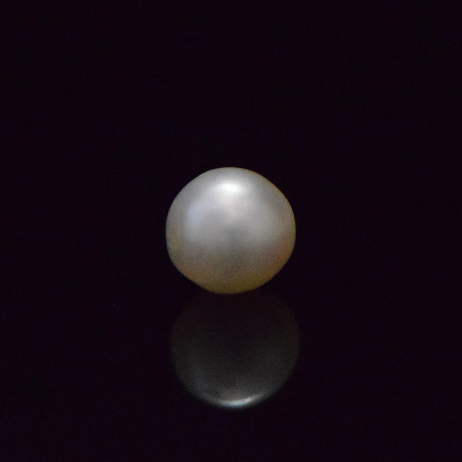 South Sea Pearl - 6.67 Carat
