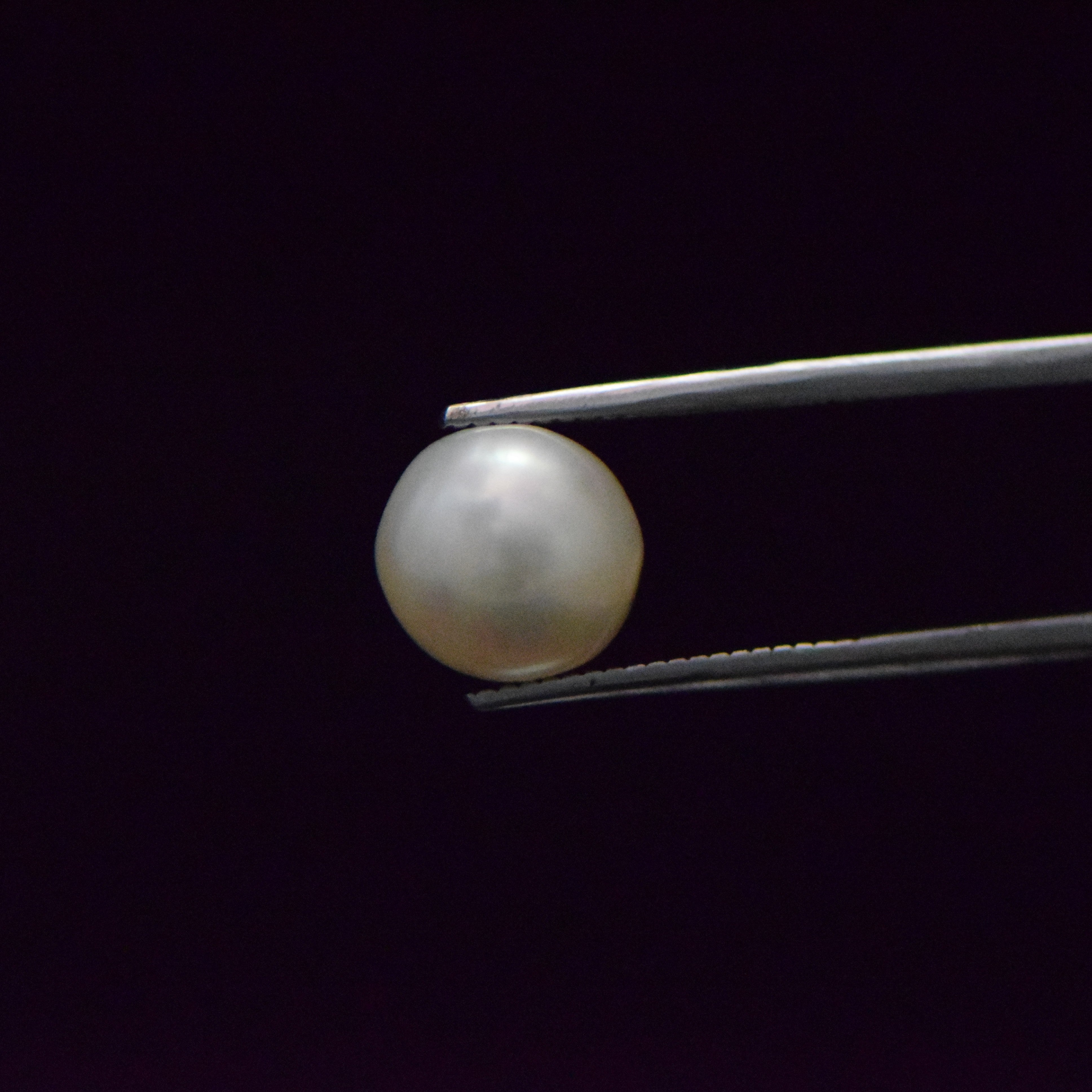 South Sea Pearl - 6.67 Carat