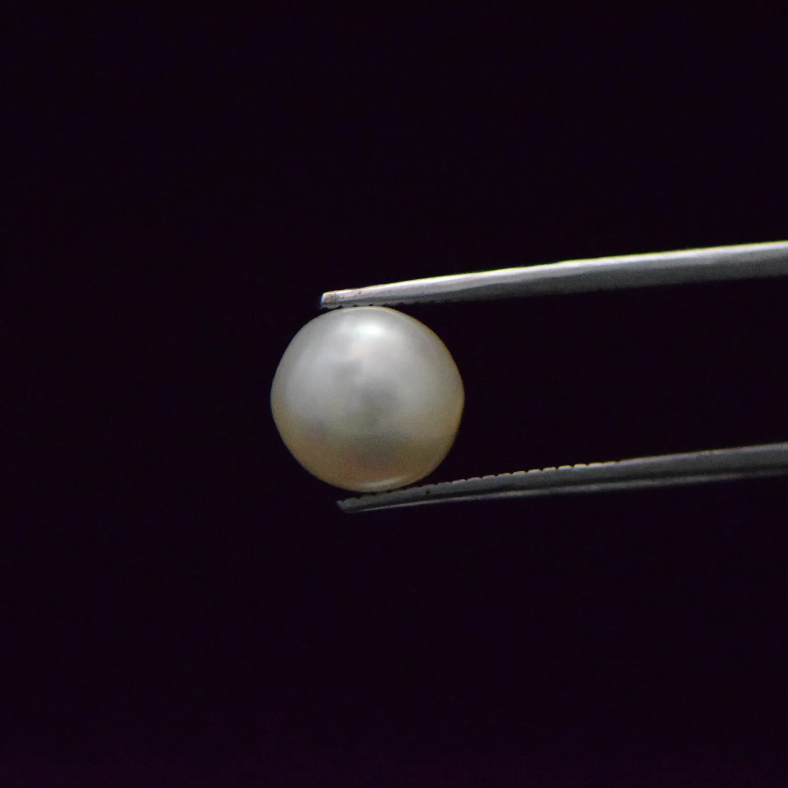 South Sea Pearl - 6.67 Carat