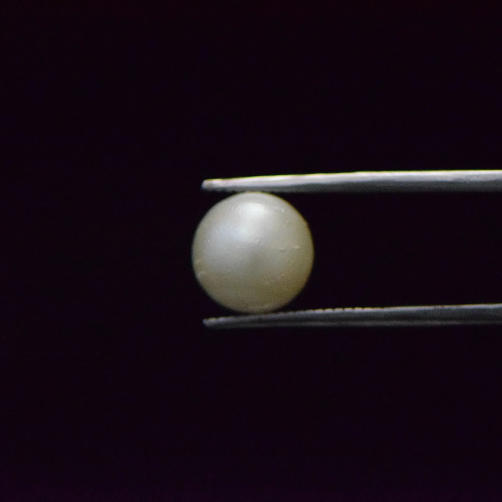 South Sea Pearl - 7.22 Carat