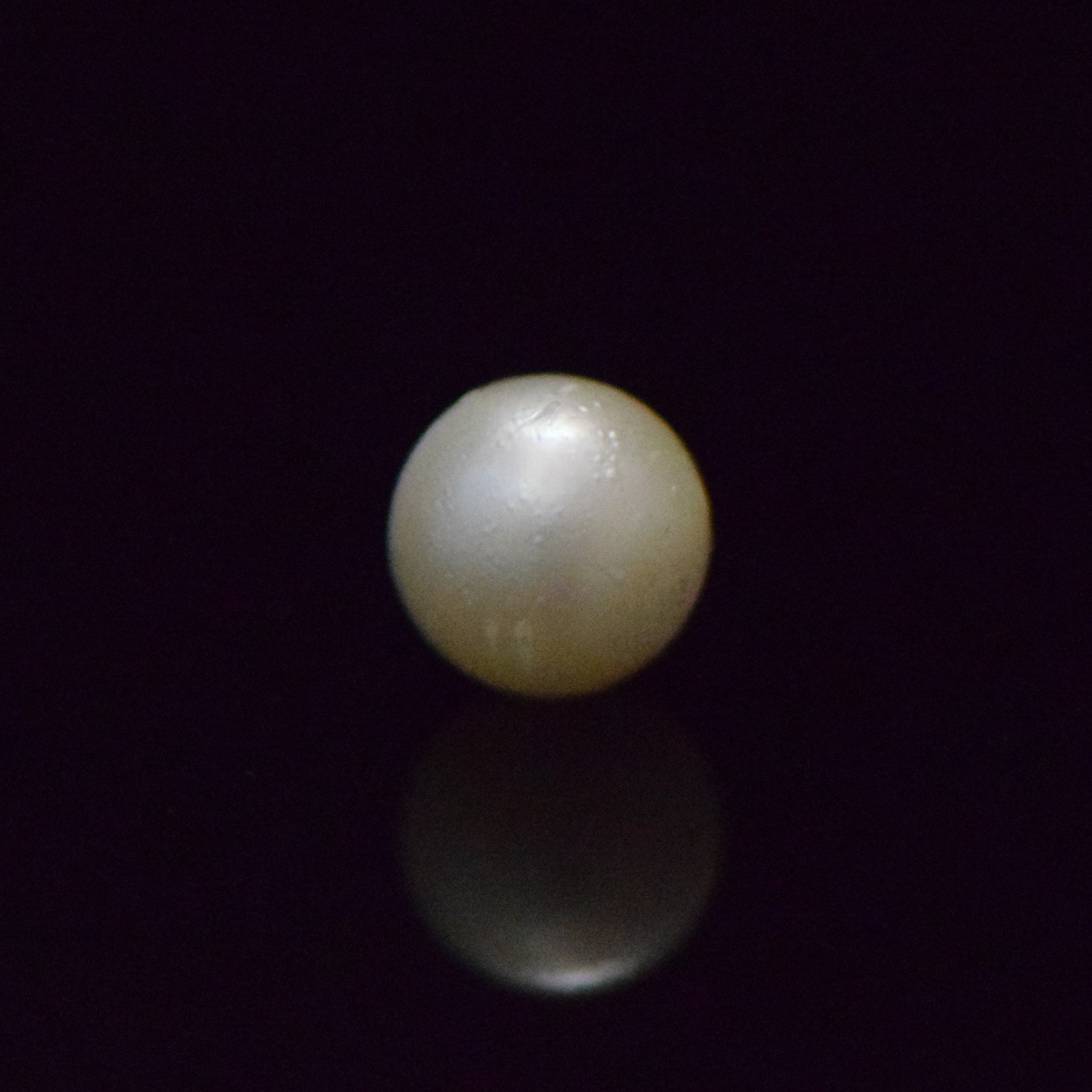 South Sea Pearl - 7.22 Carat