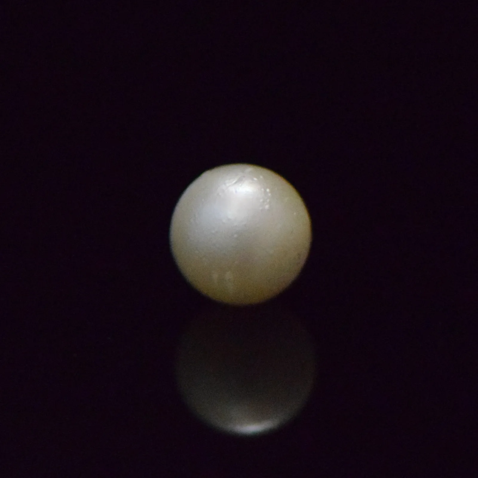 South Sea Pearl - 7.22 Carat