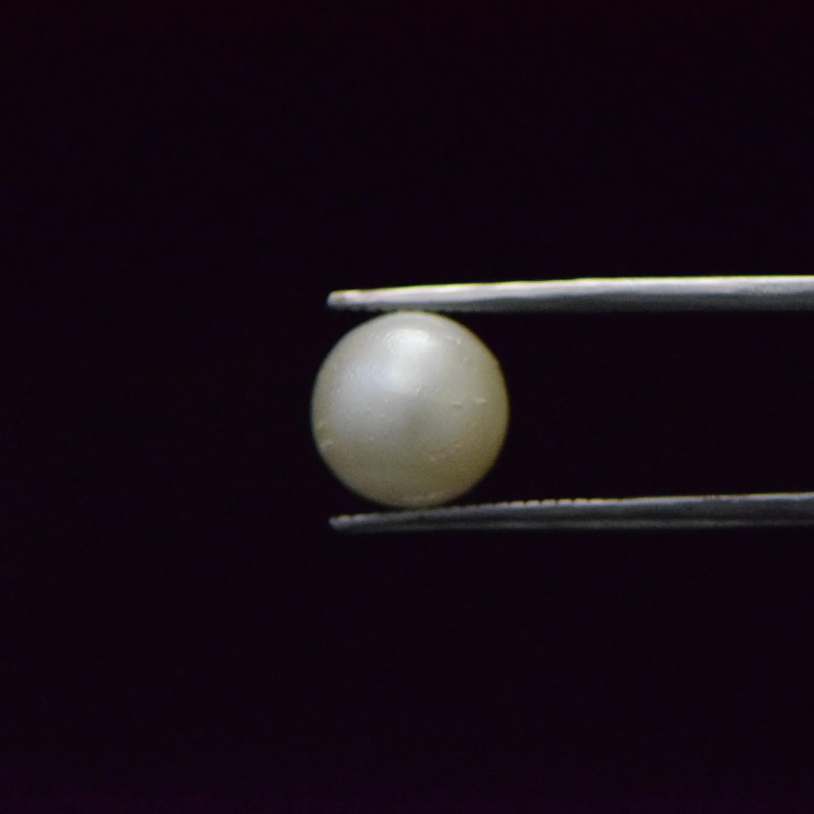 South Sea Pearl - 7.22 Carat