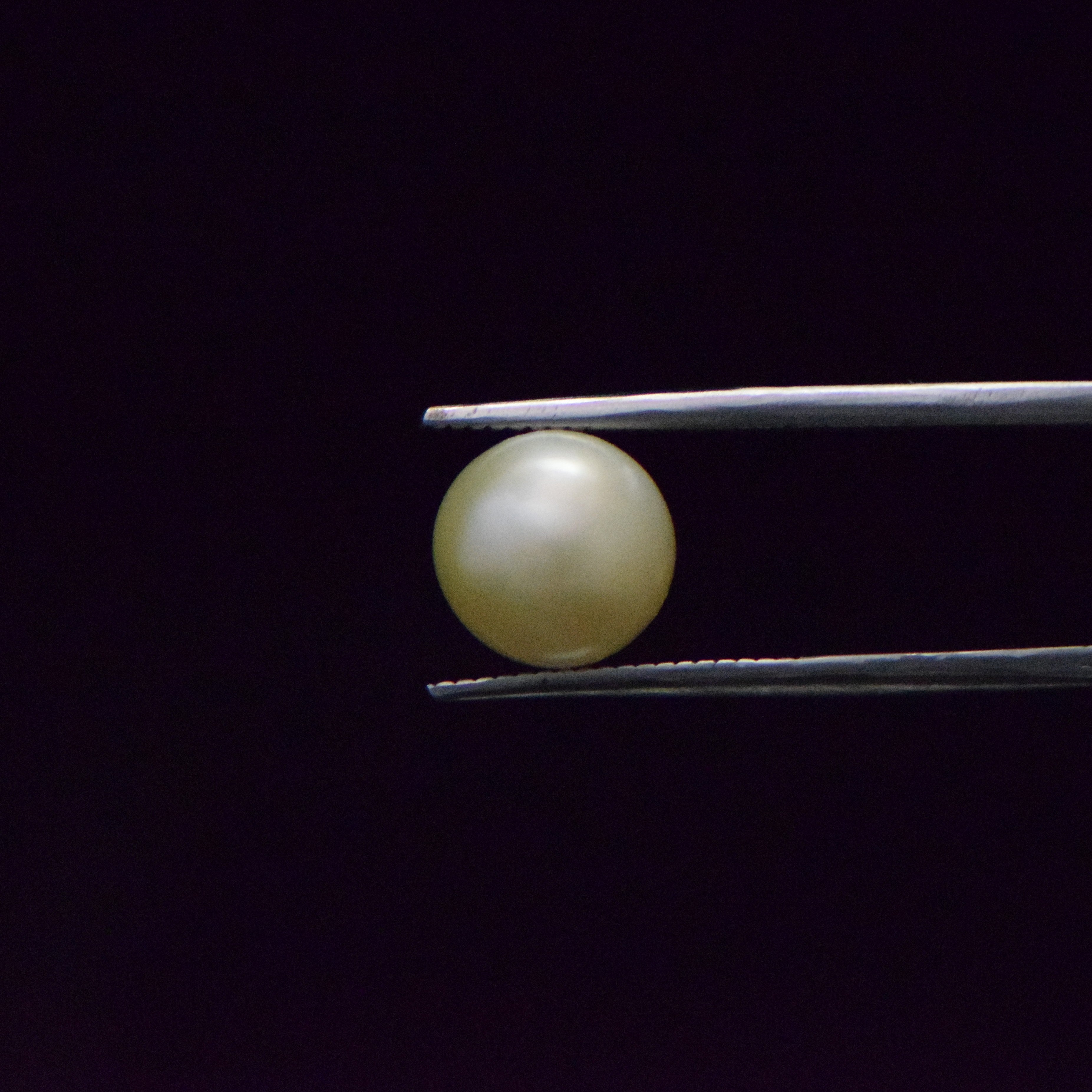 South Sea Pearl - 6.52 Carat