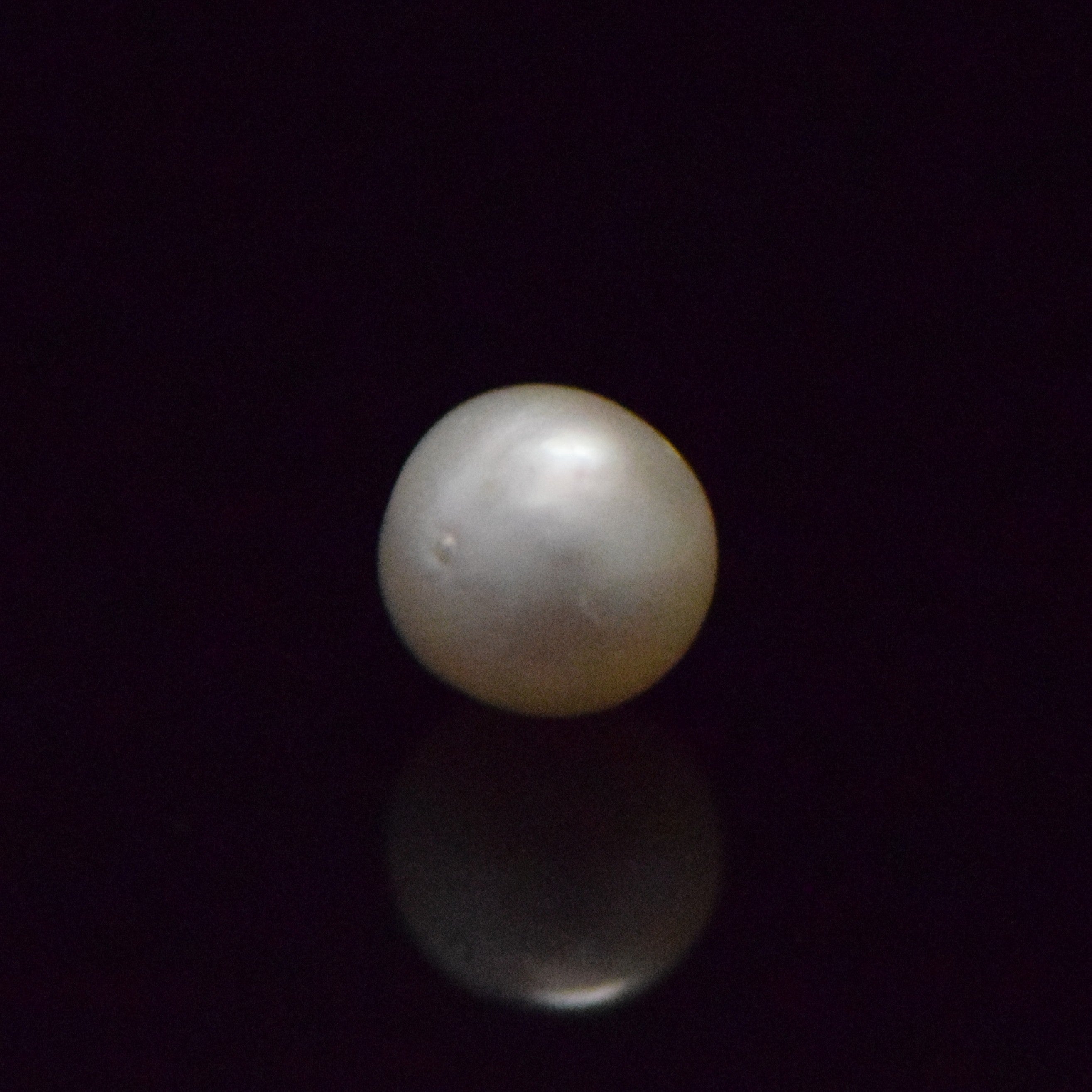 South Sea Pearl - 6.61 Carat