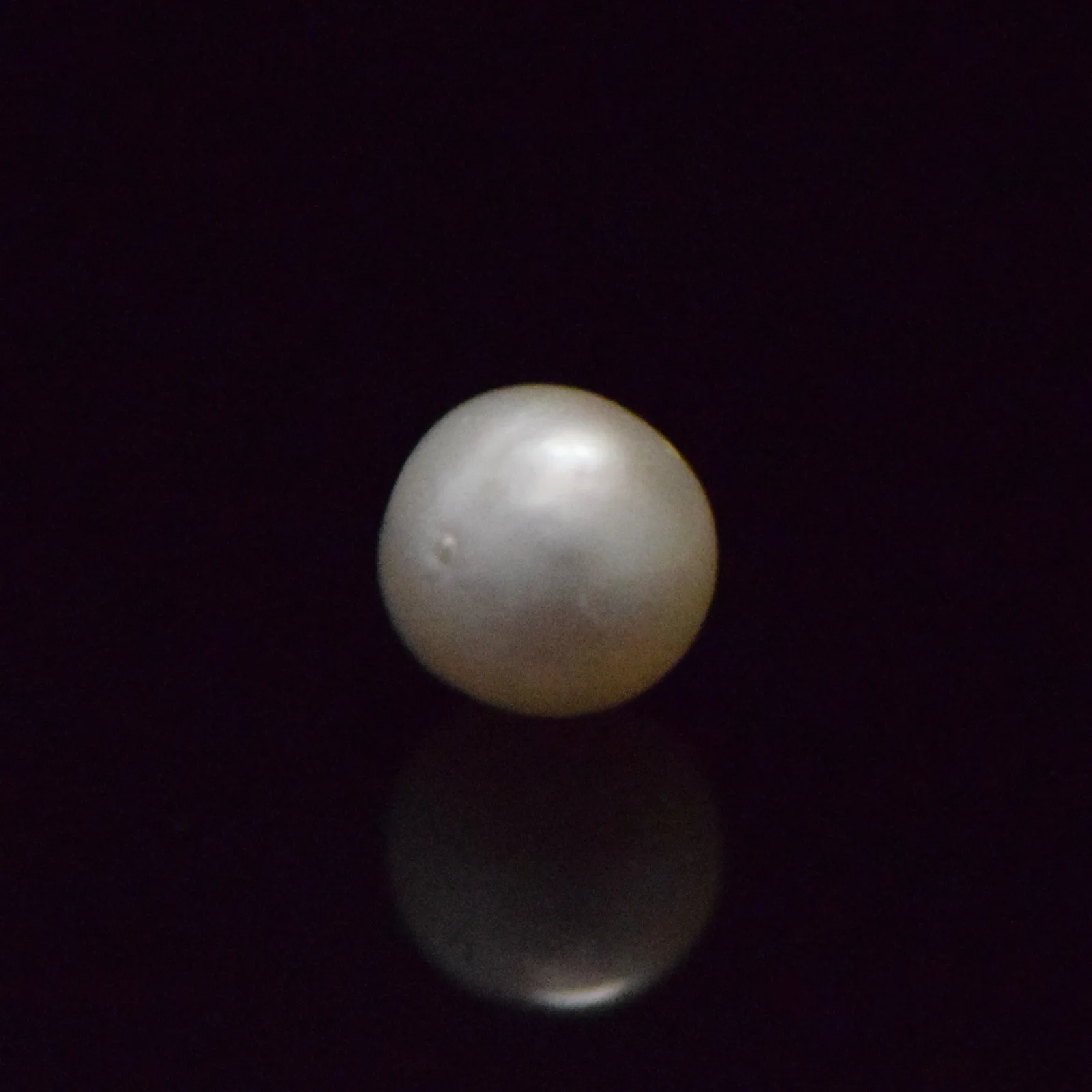South Sea Pearl - 6.61 Carat