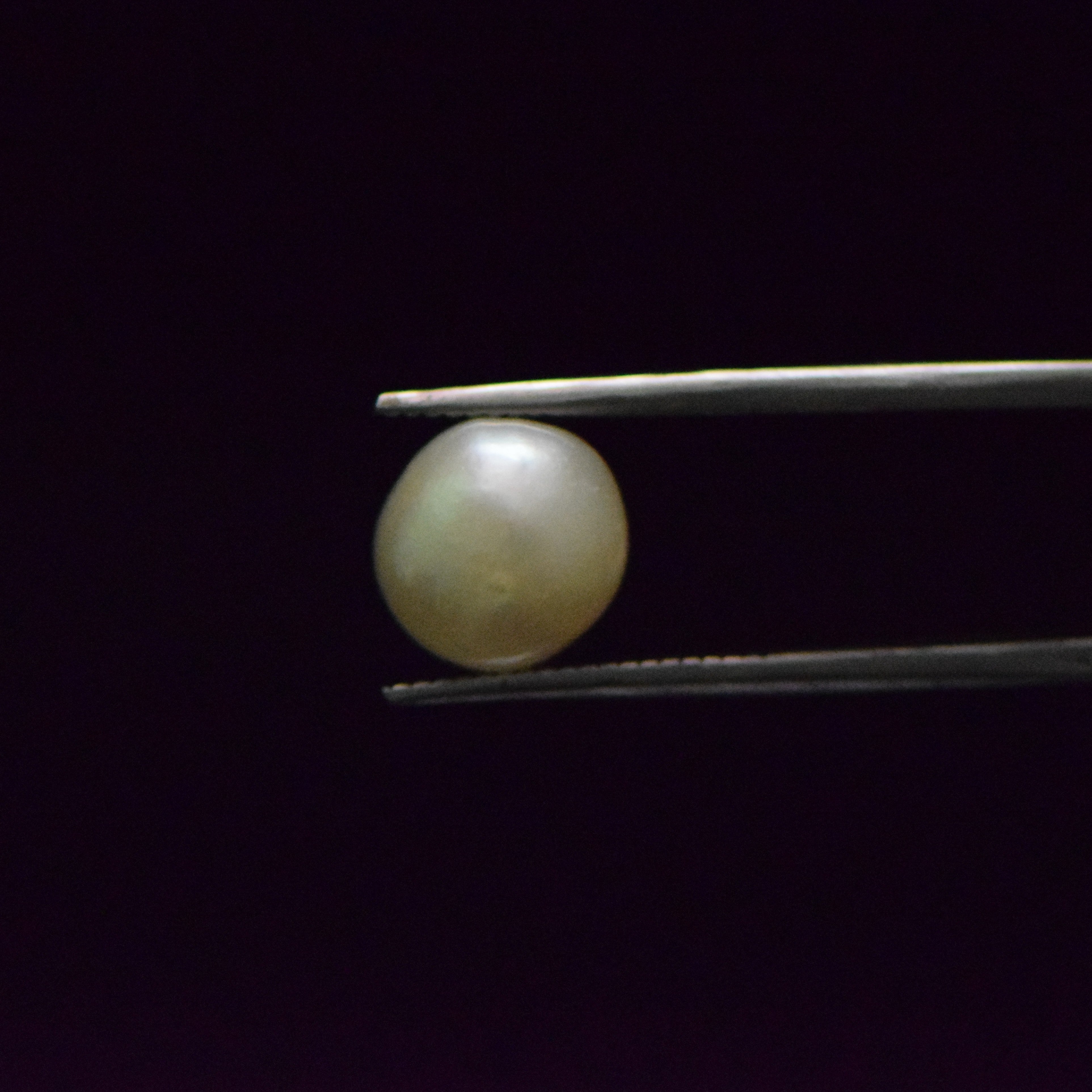 South Sea Pearl - 6.61 Carat