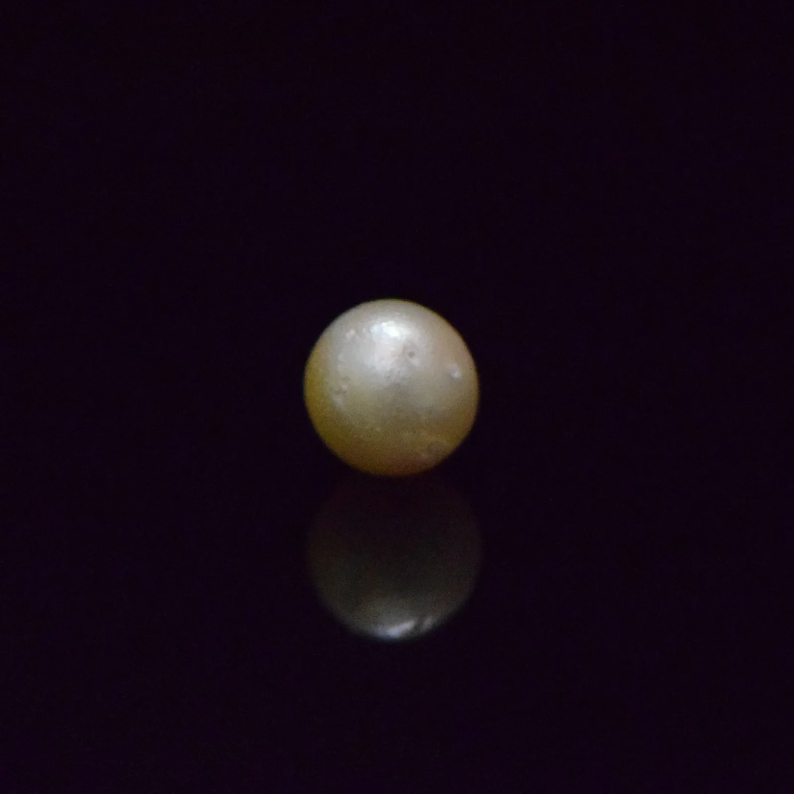 South Sea Pearl - 6.72 Carat