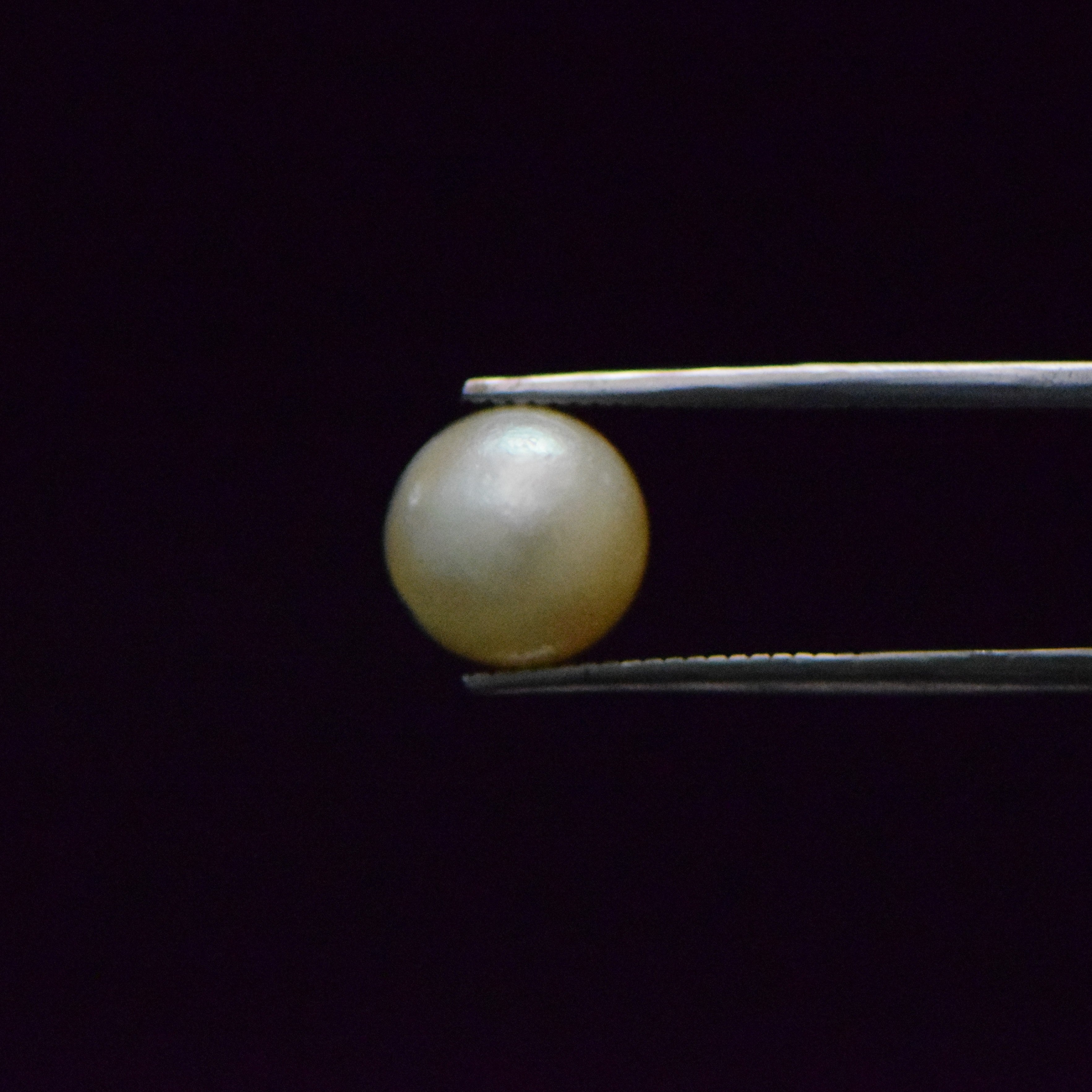 South Sea Pearl - 6.72 Carat