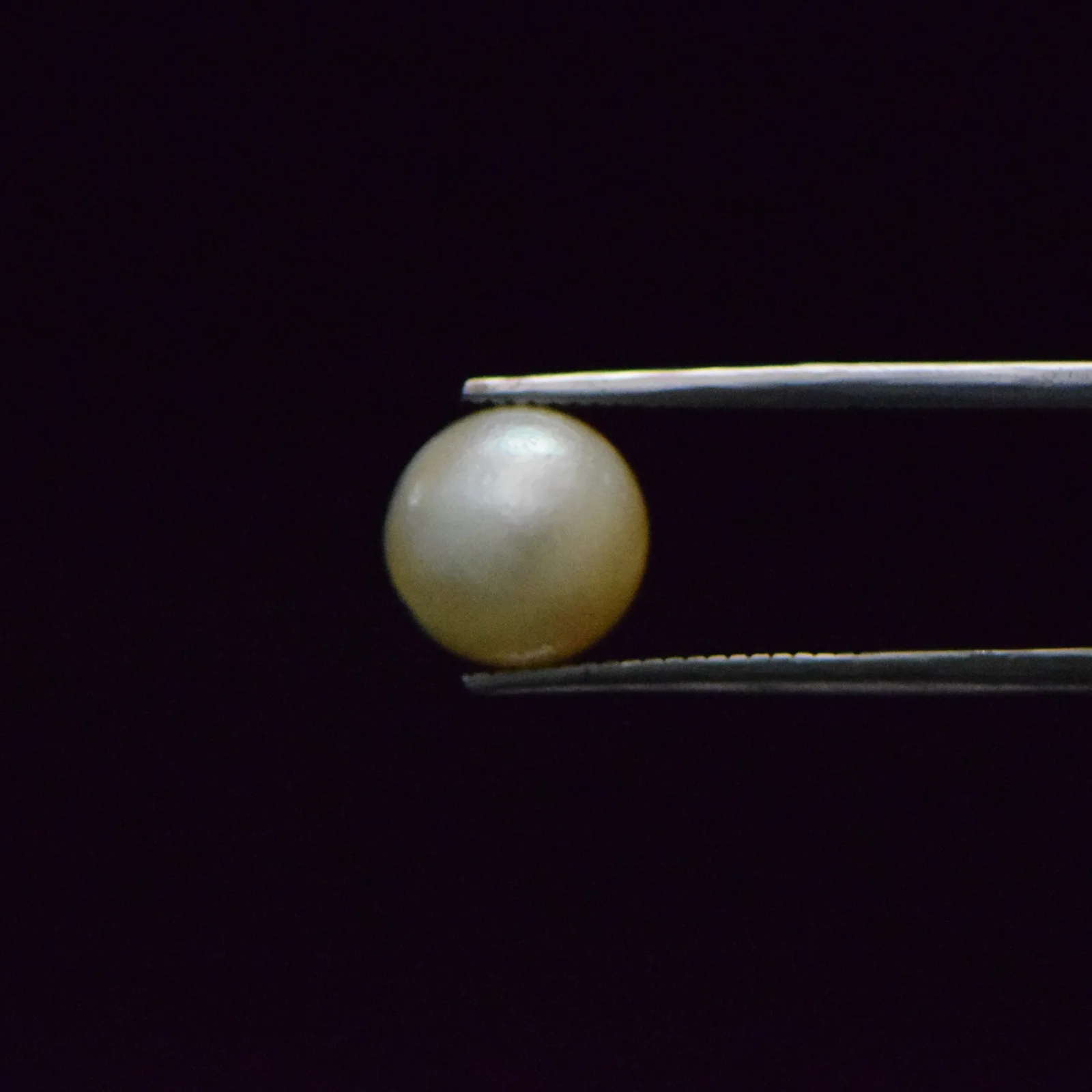 South Sea Pearl - 6.72 Carat
