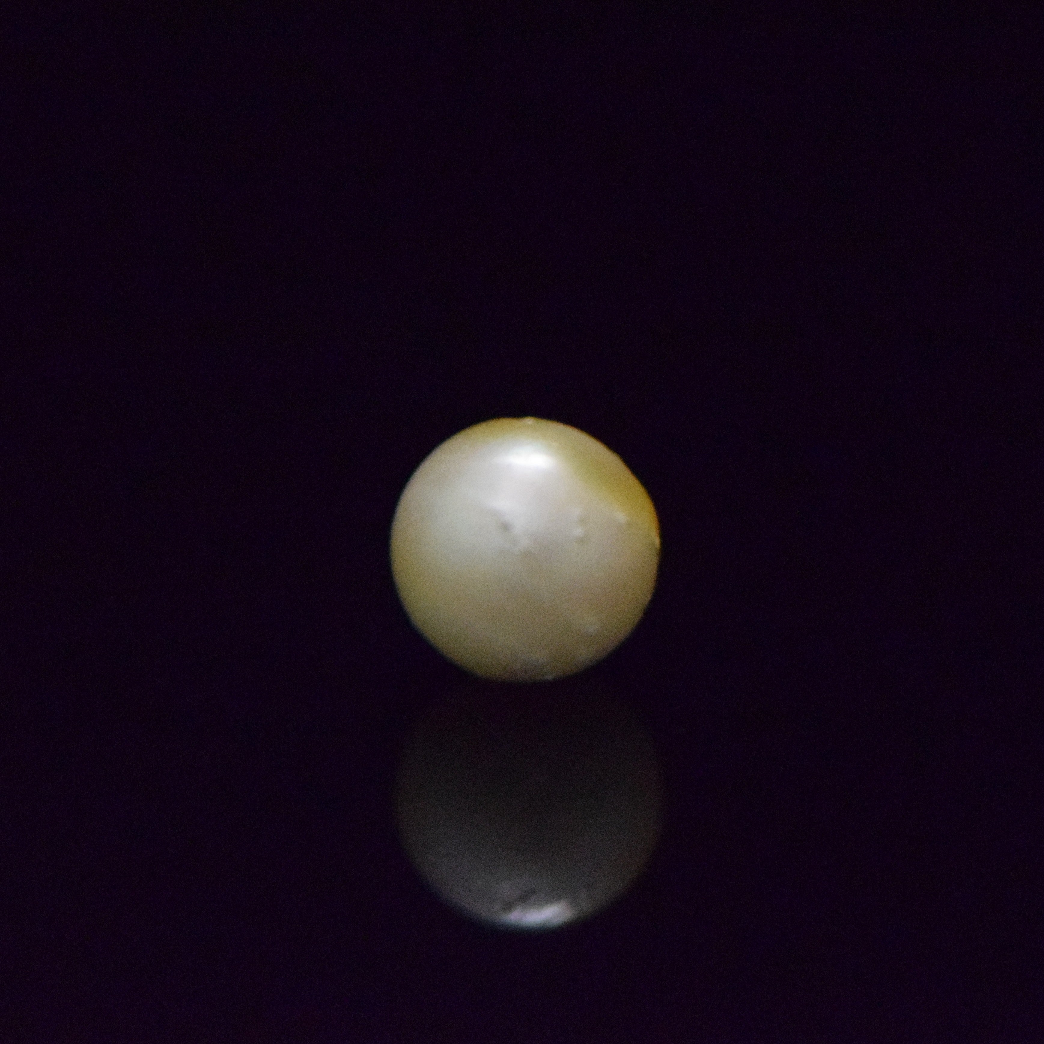 South Sea Pearl - 9.27 Carat