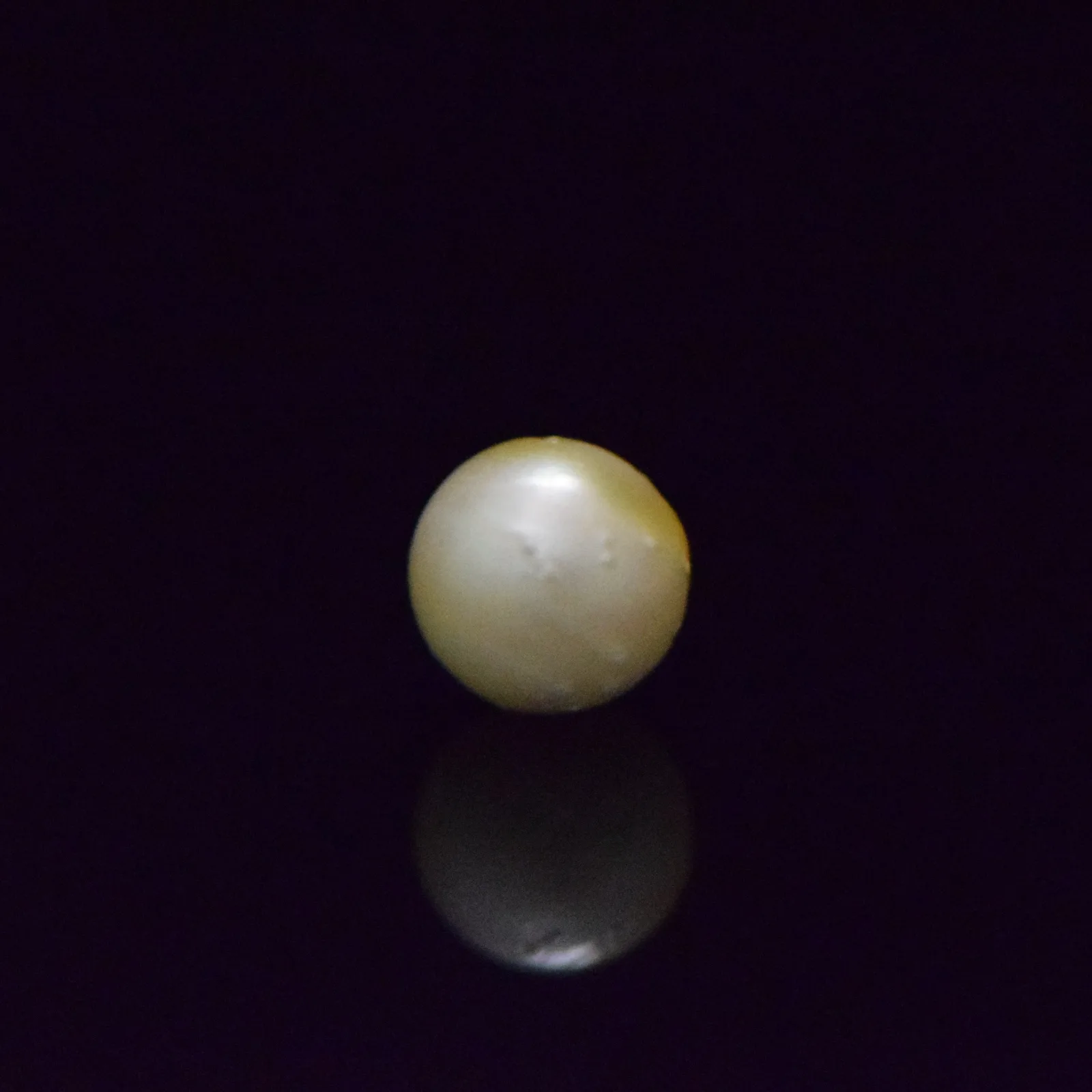 South Sea Pearl - 9.27 Carat