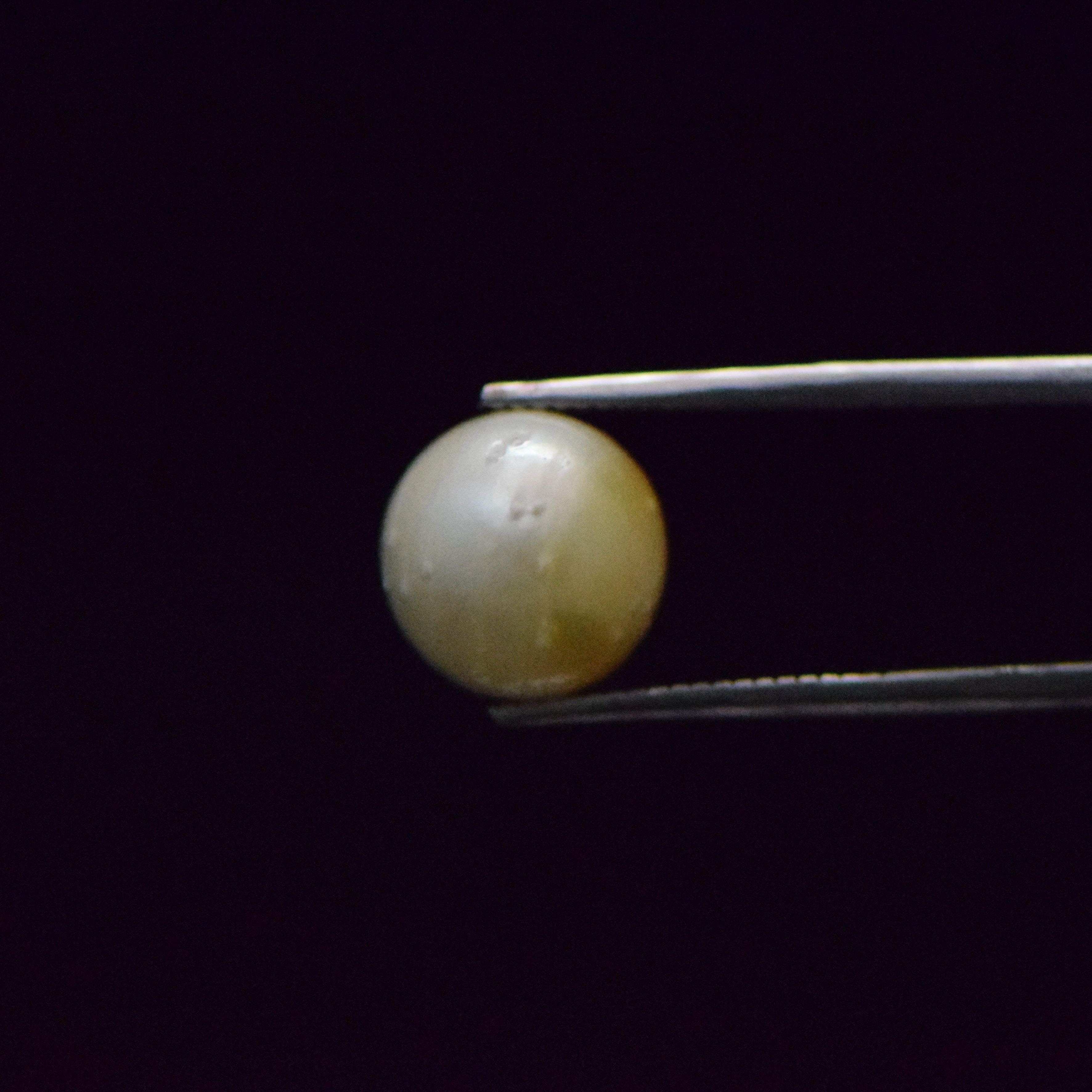 South Sea Pearl - 9.27 Carat