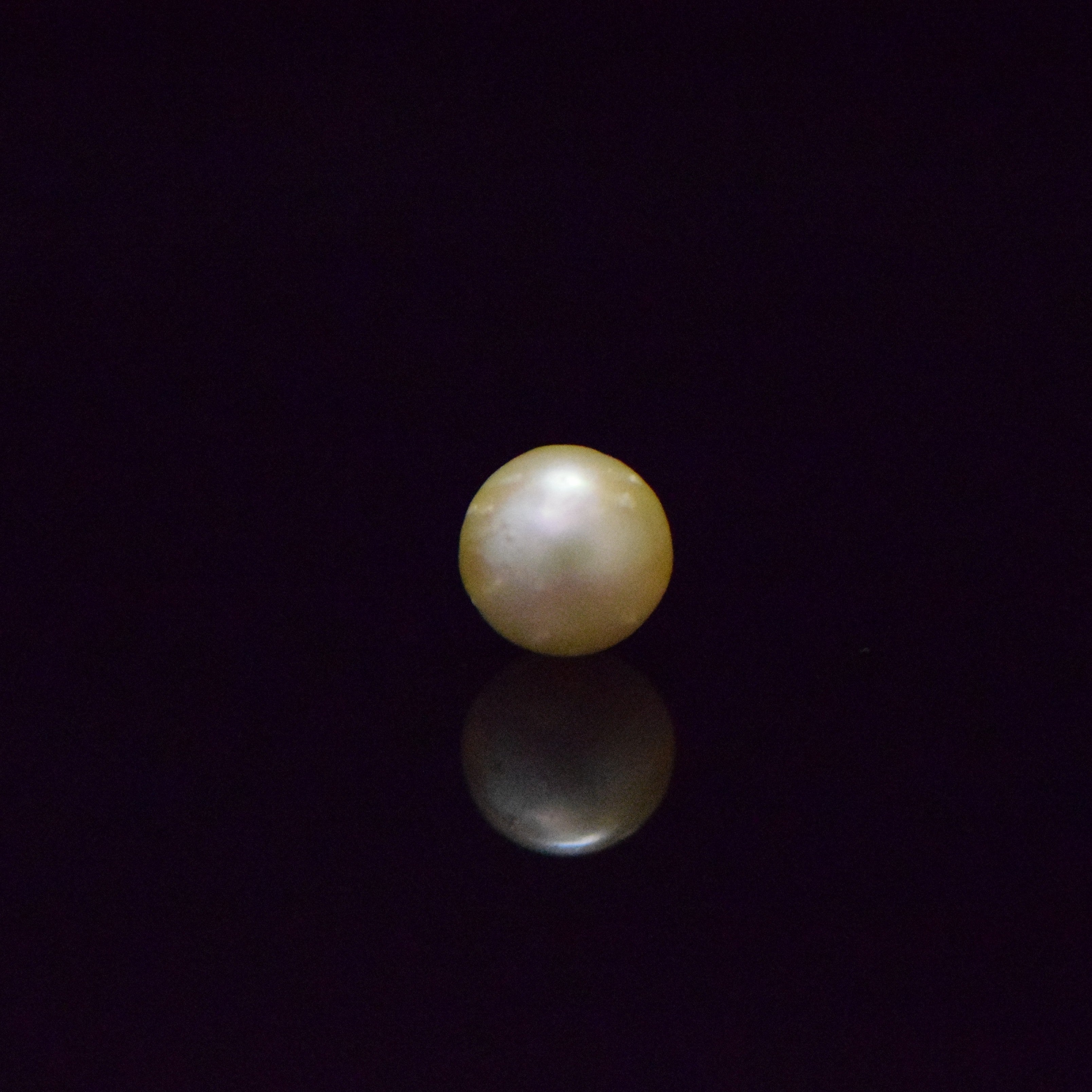South Sea Pearl - 5.66 Carat