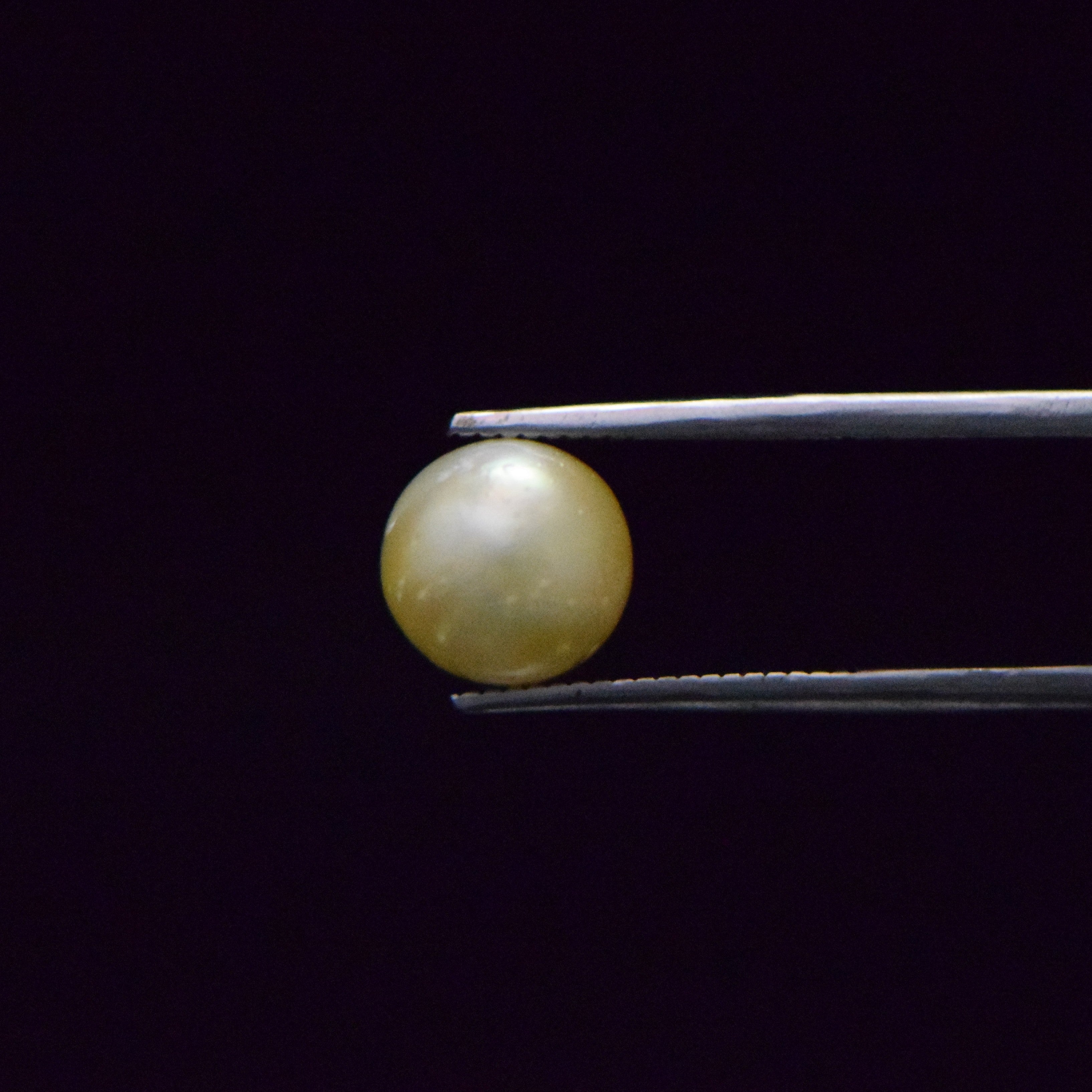 South Sea Pearl - 5.66 Carat
