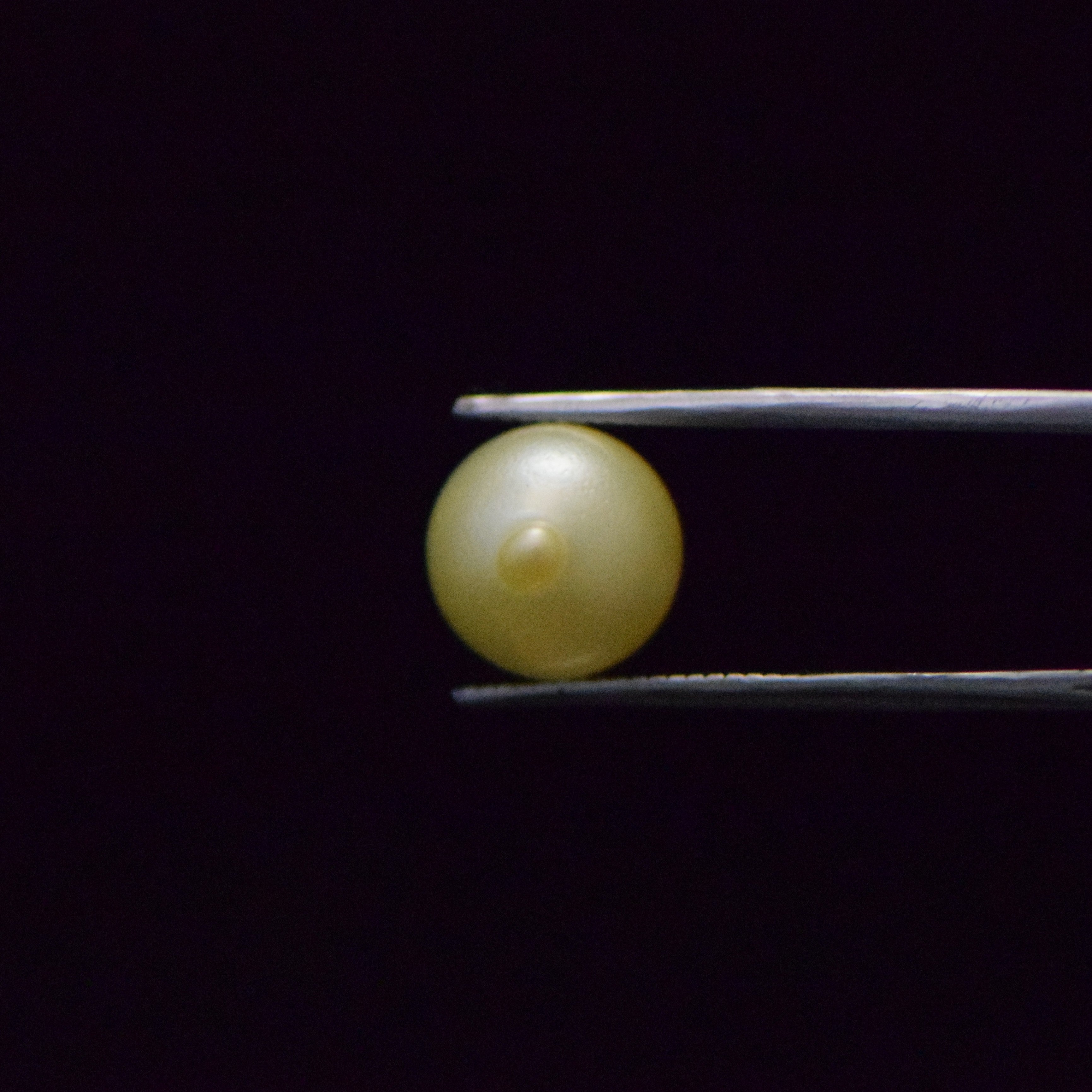 South Sea Pearl - 8.48 Carat