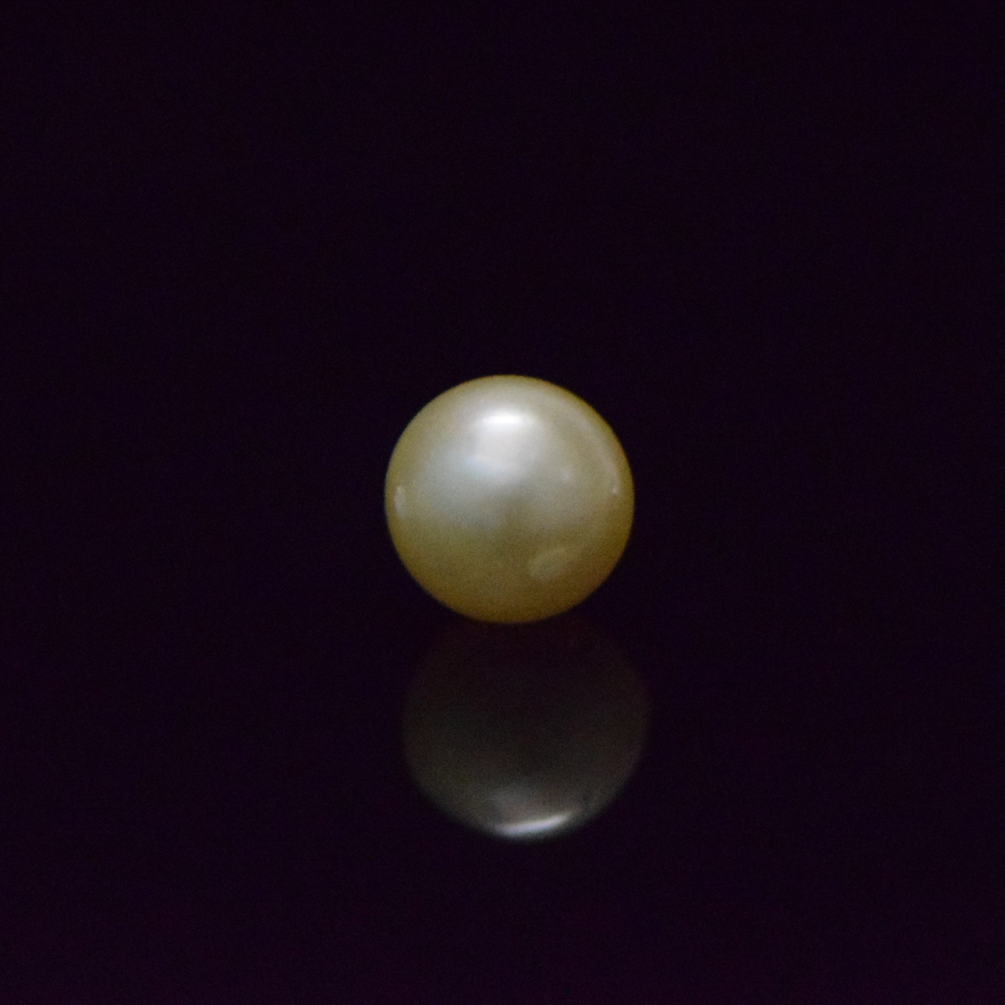 South Sea Pearl - 8.49 Carat
