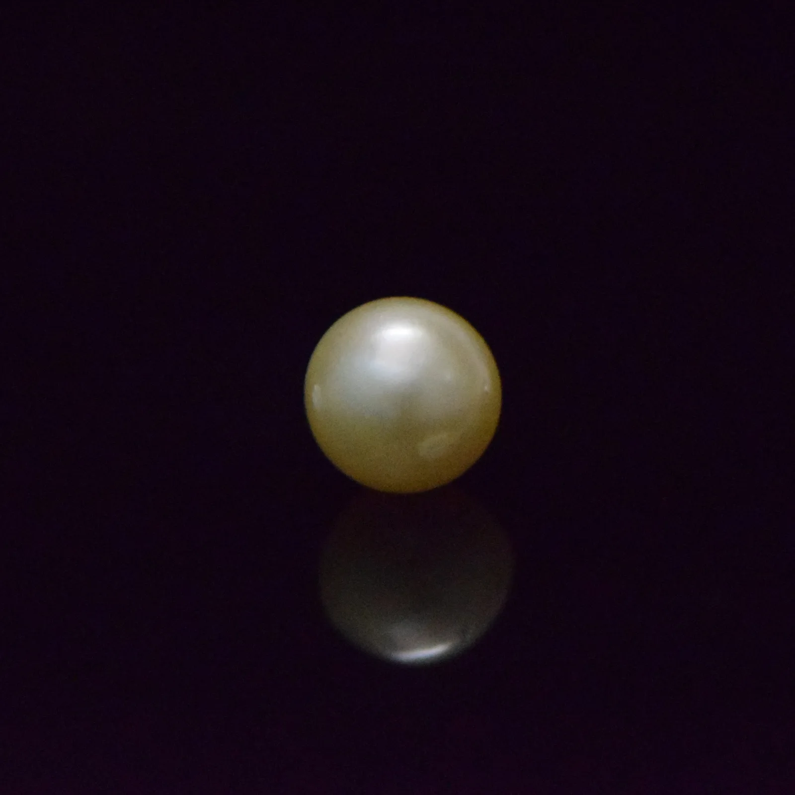 South Sea Pearl - 8.49 Carat