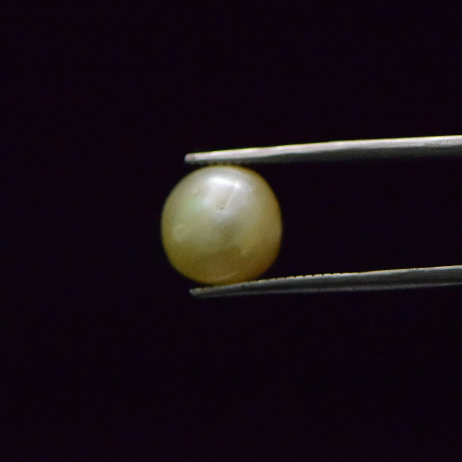 South Sea Pearl - 8.49 Carat