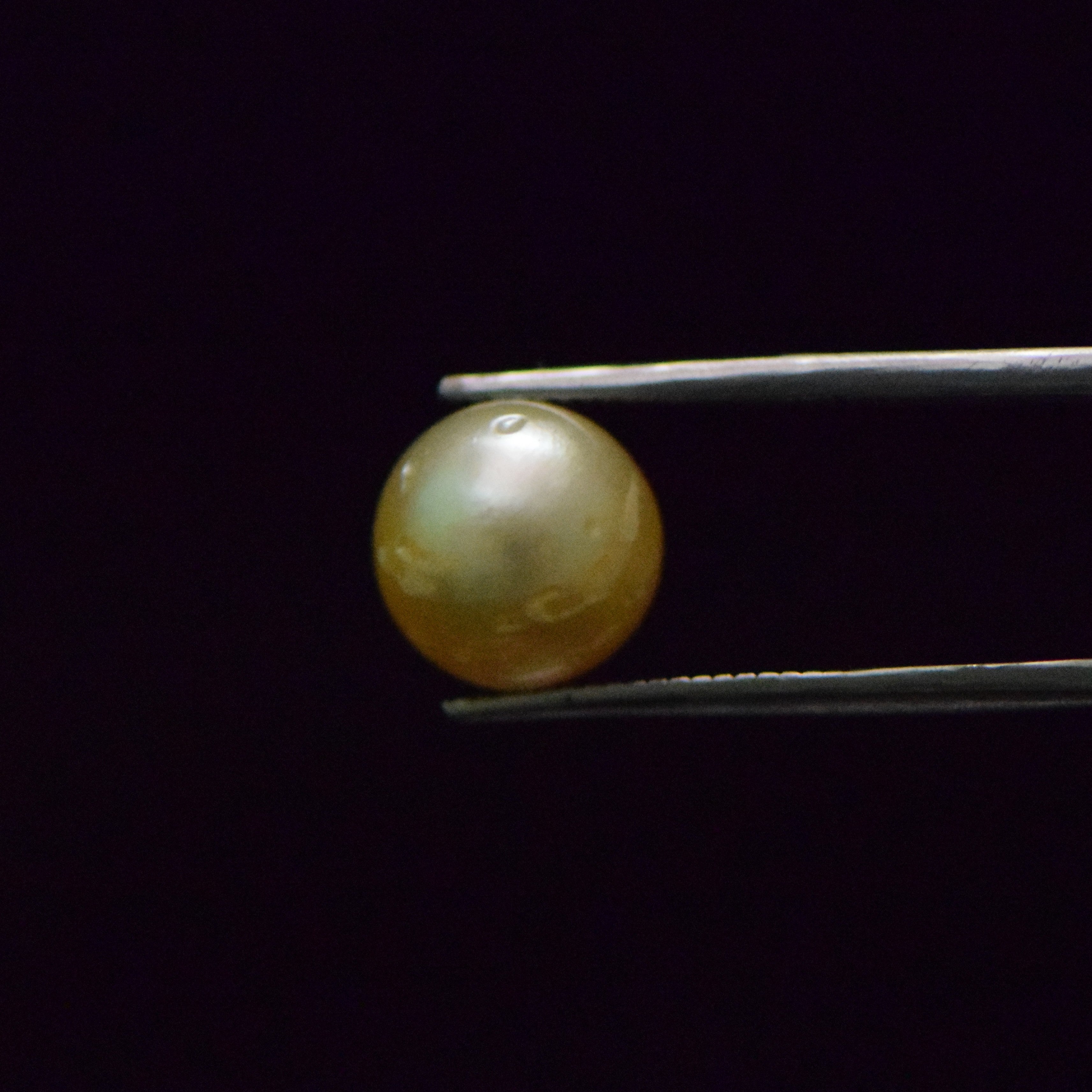 South Sea Pearl - 8.3 Carat