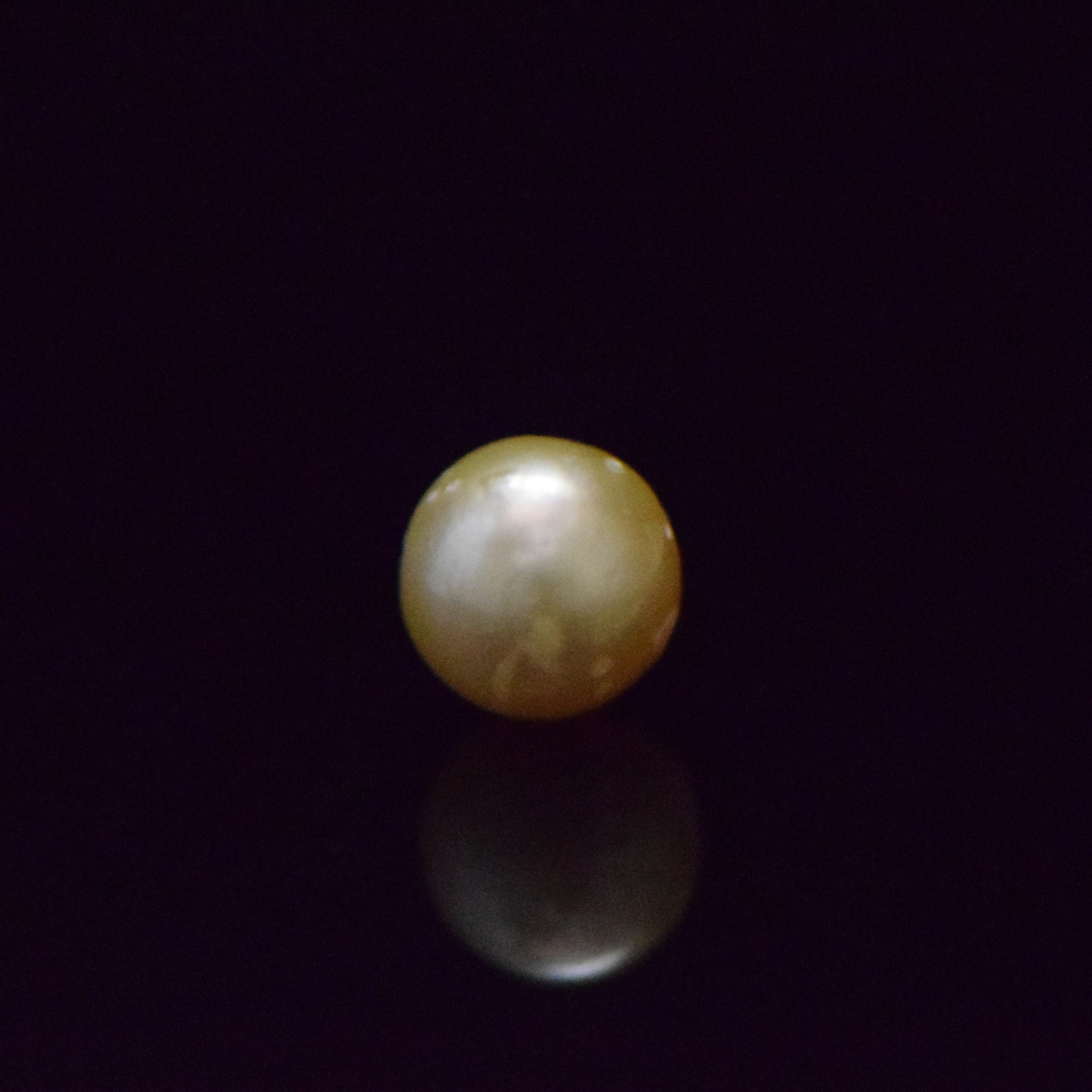 South Sea Pearl - 9.26 Carat