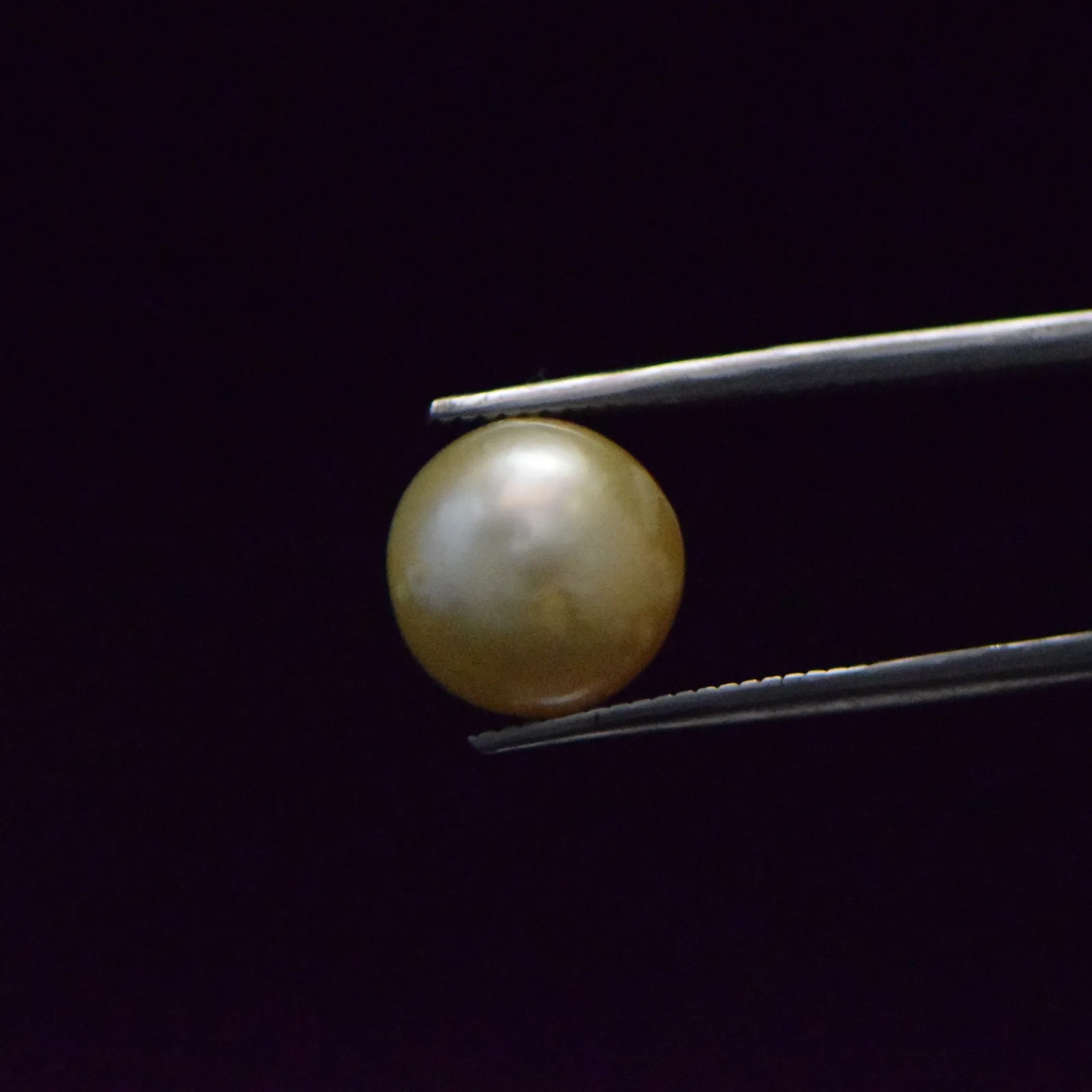 South Sea Pearl - 9.26 Carat