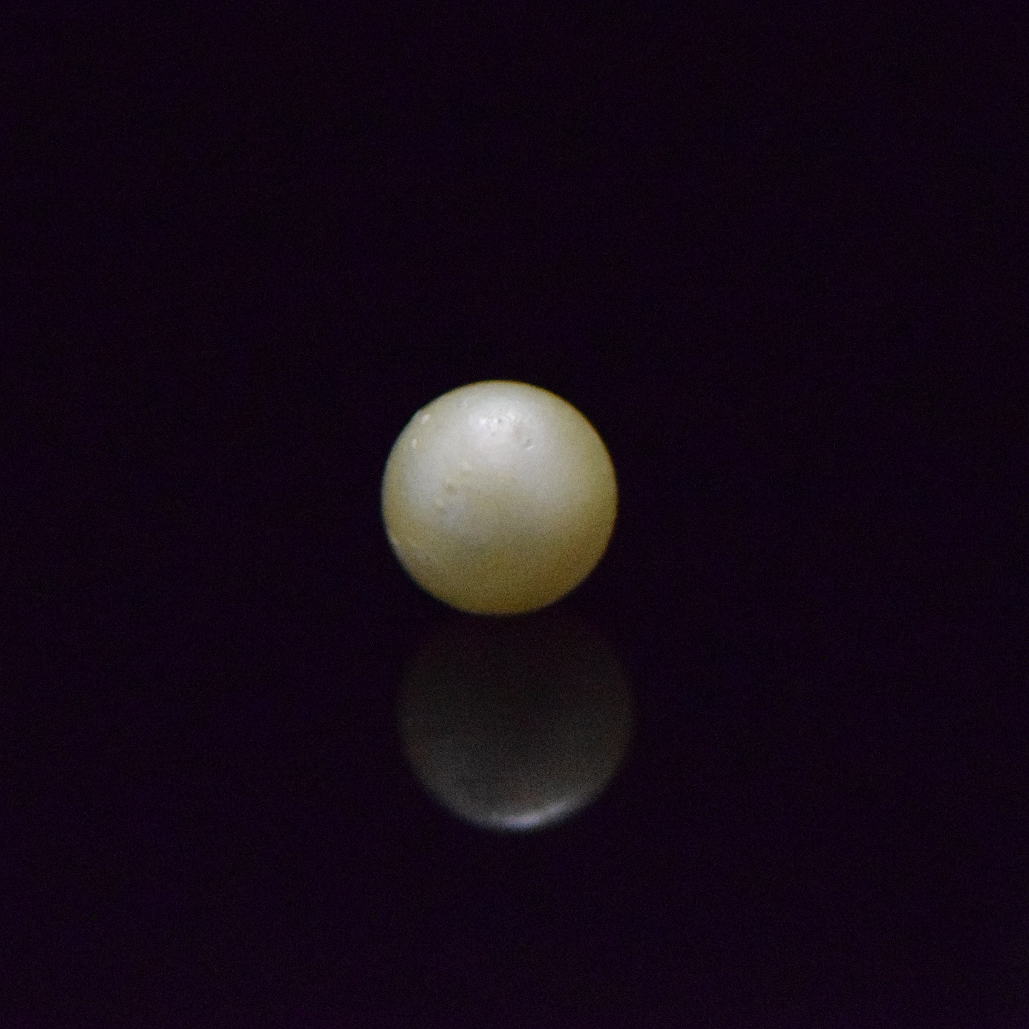 South Sea Pearl - 6.43 Carat
