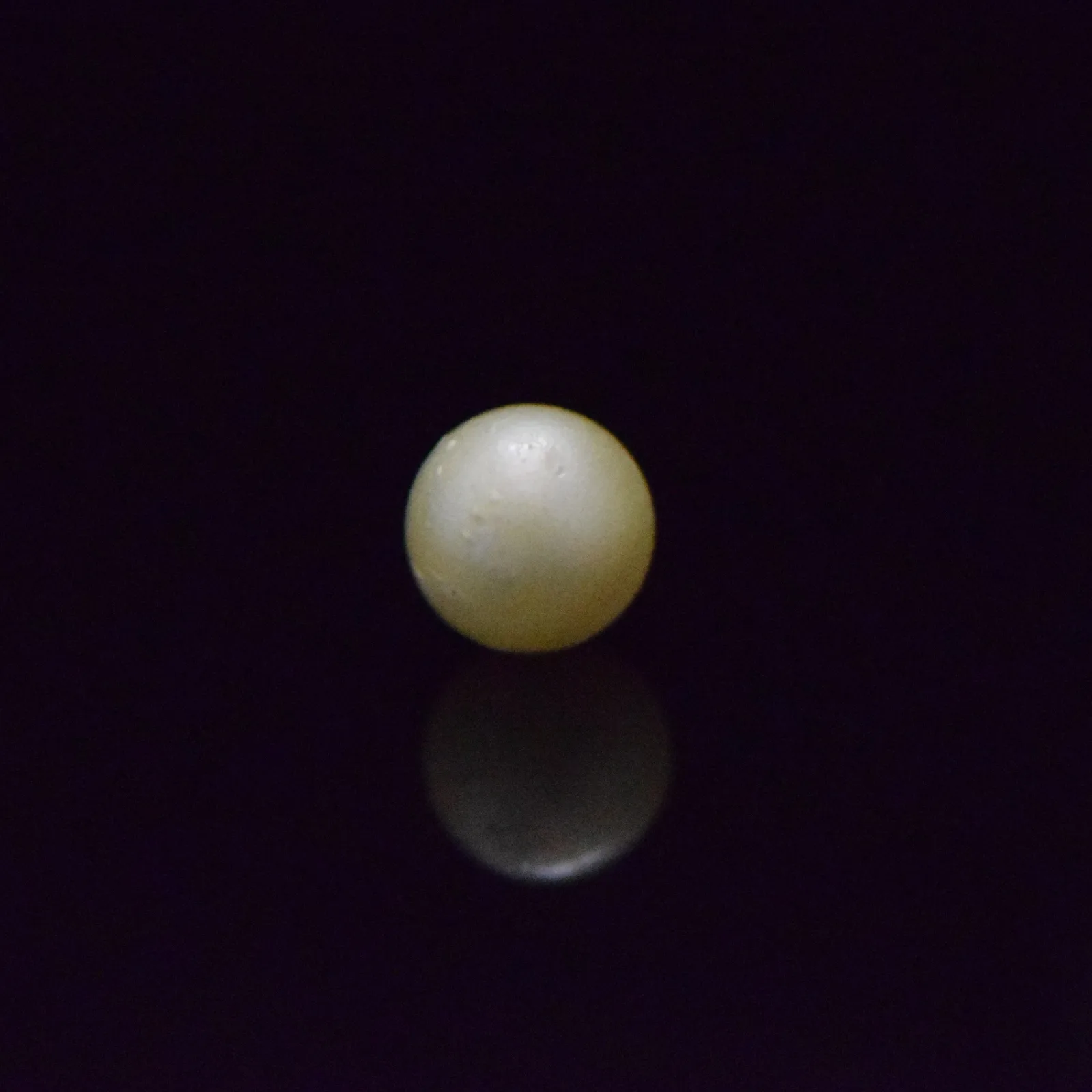 South Sea Pearl - 6.43 Carat