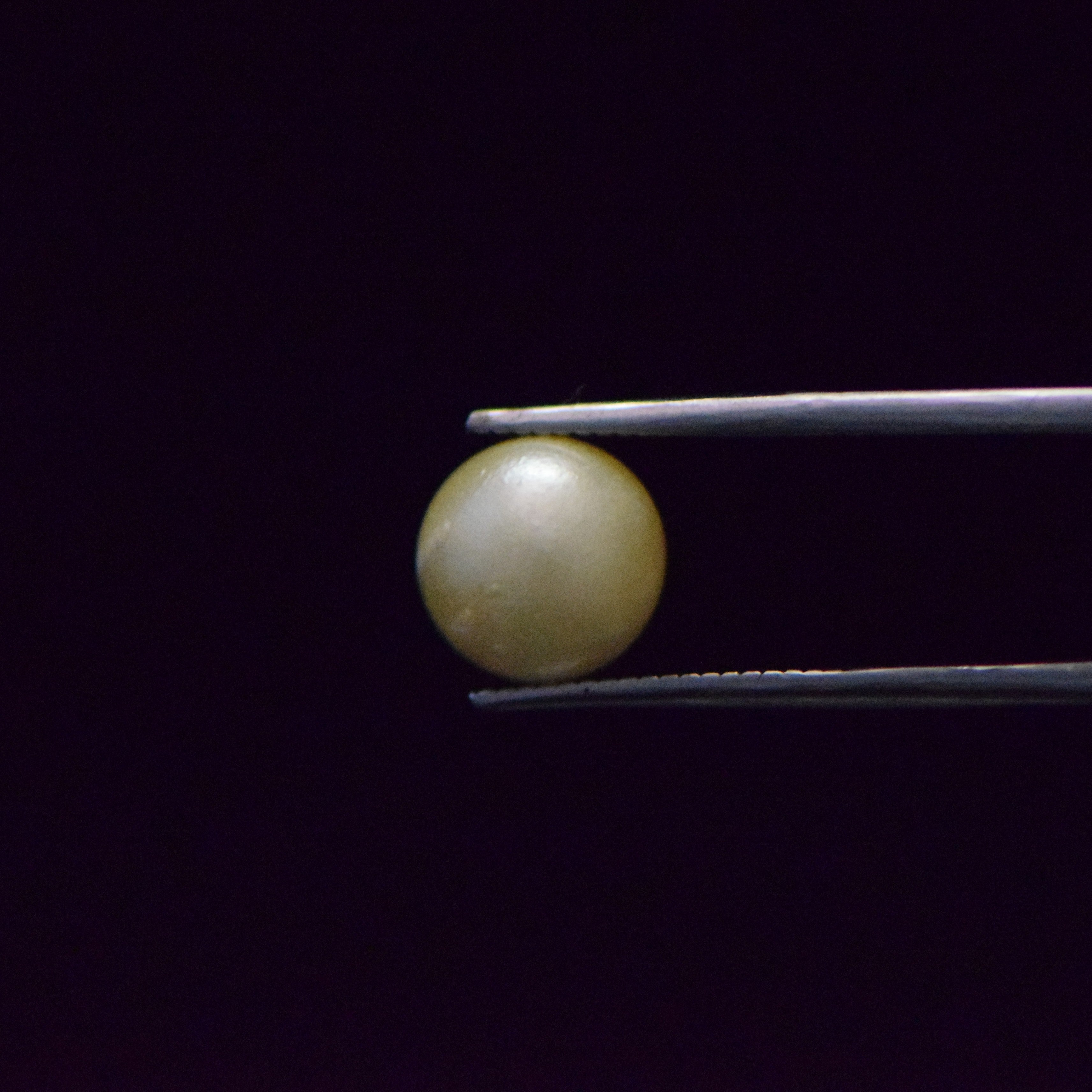 South Sea Pearl - 6.43 Carat