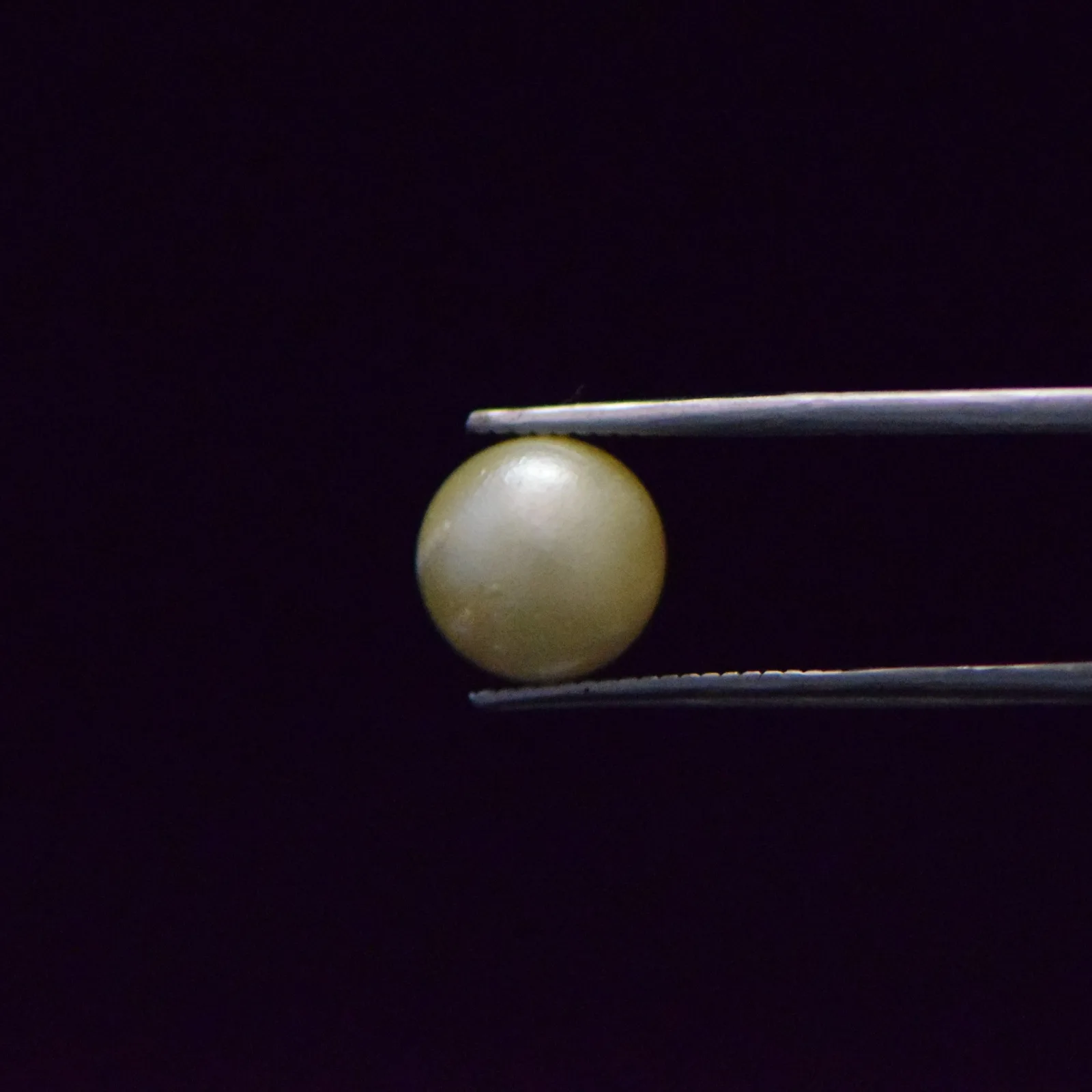 South Sea Pearl - 6.43 Carat