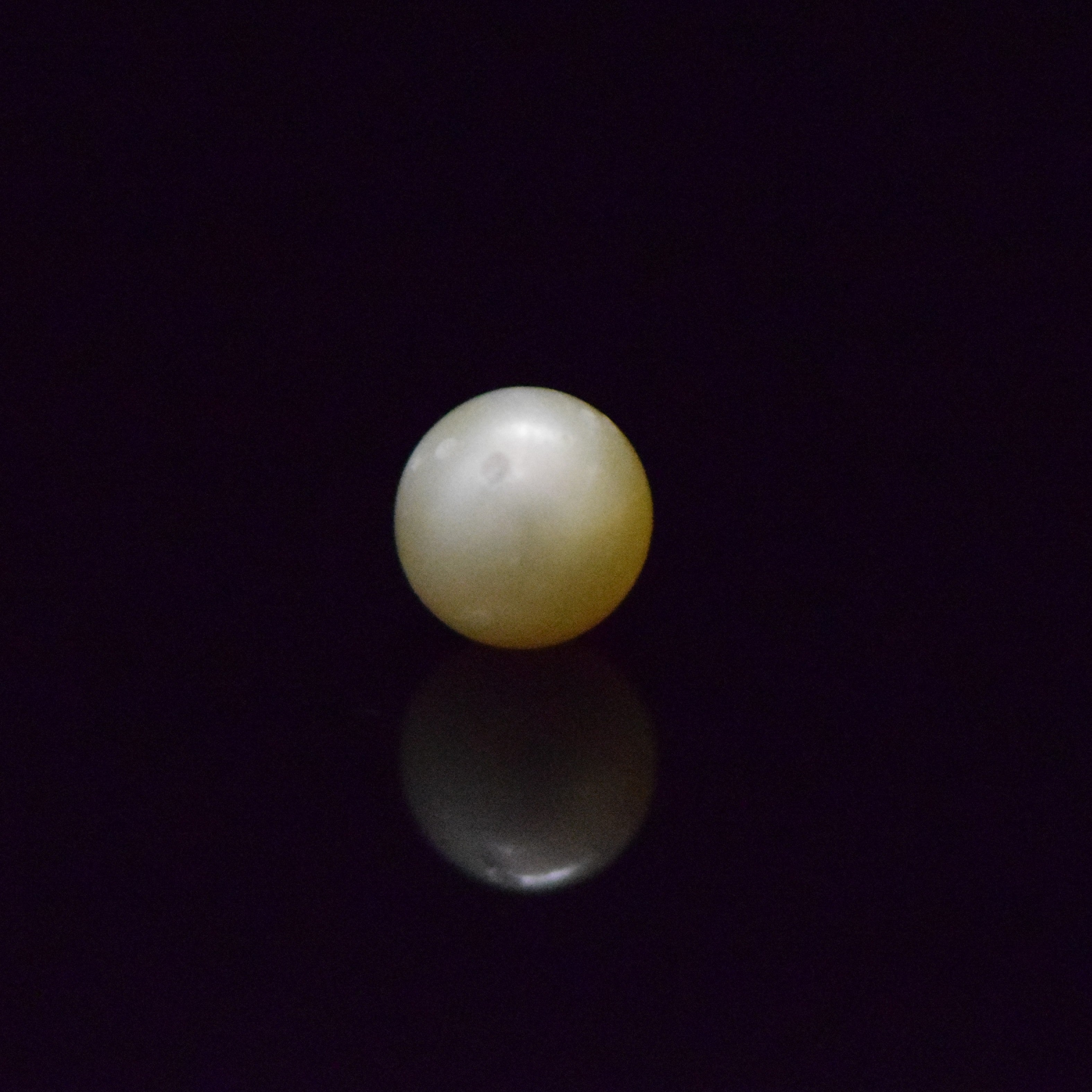 South Sea Pearl - 6.58 Carat