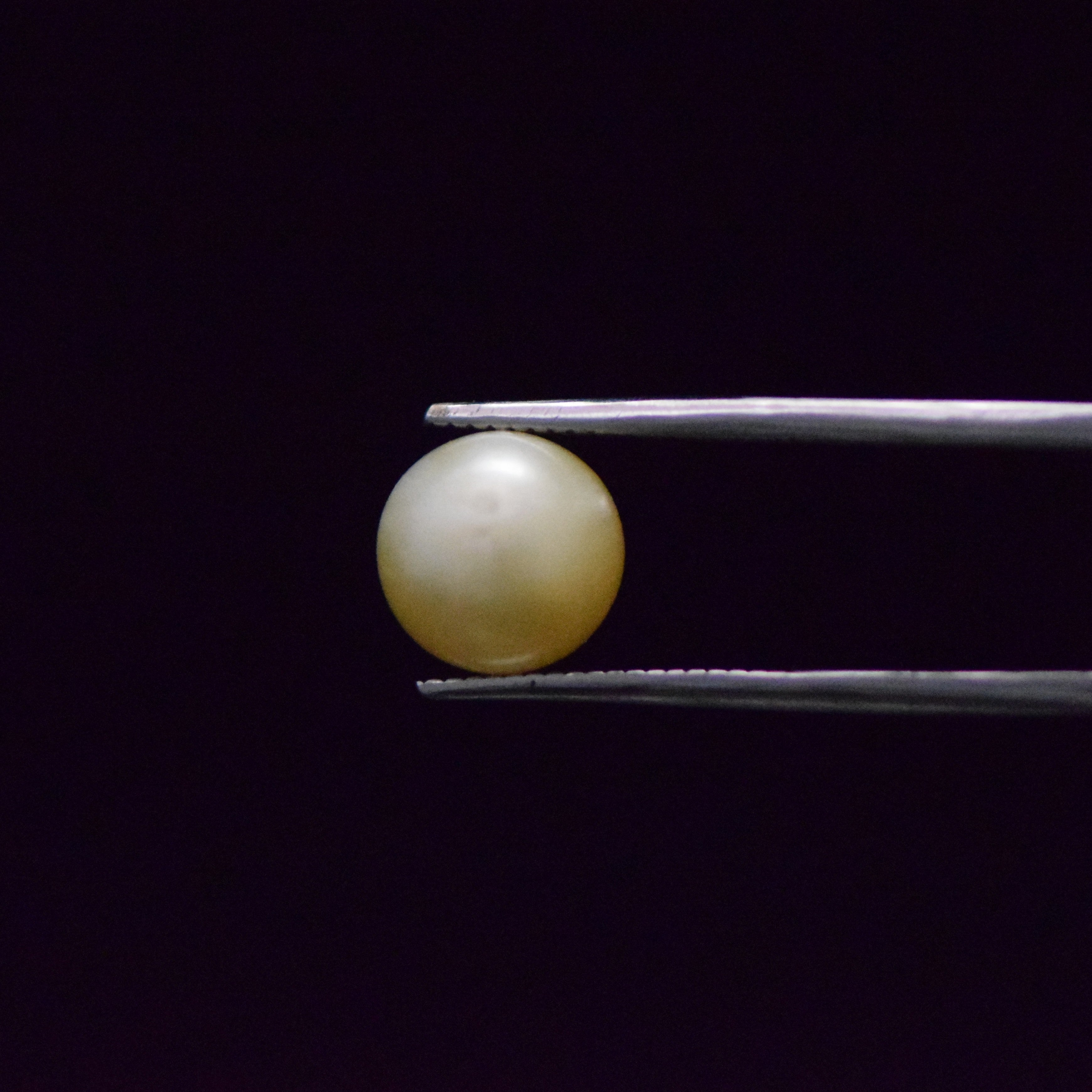 South Sea Pearl - 6.58 Carat