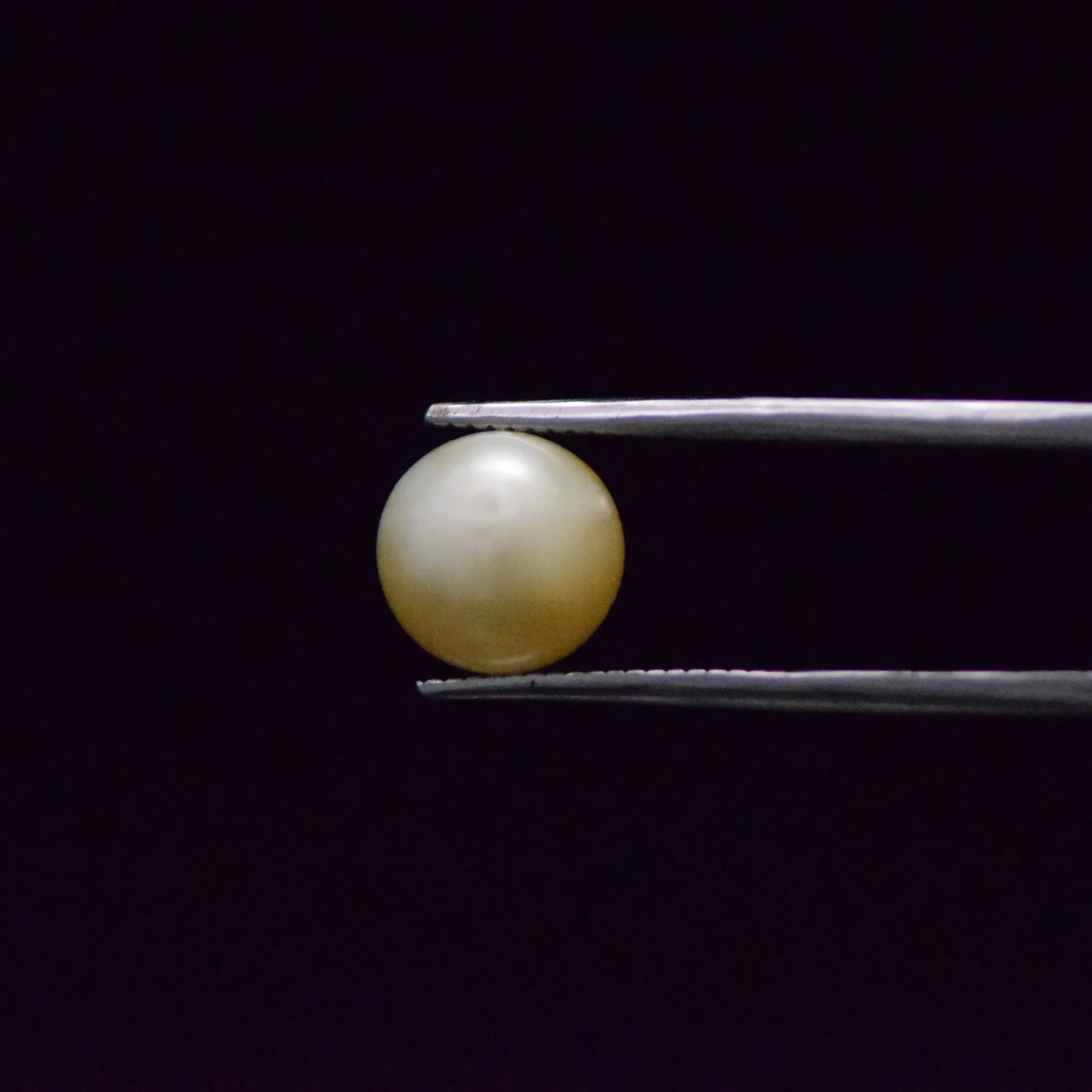 South Sea Pearl - 6.58 Carat