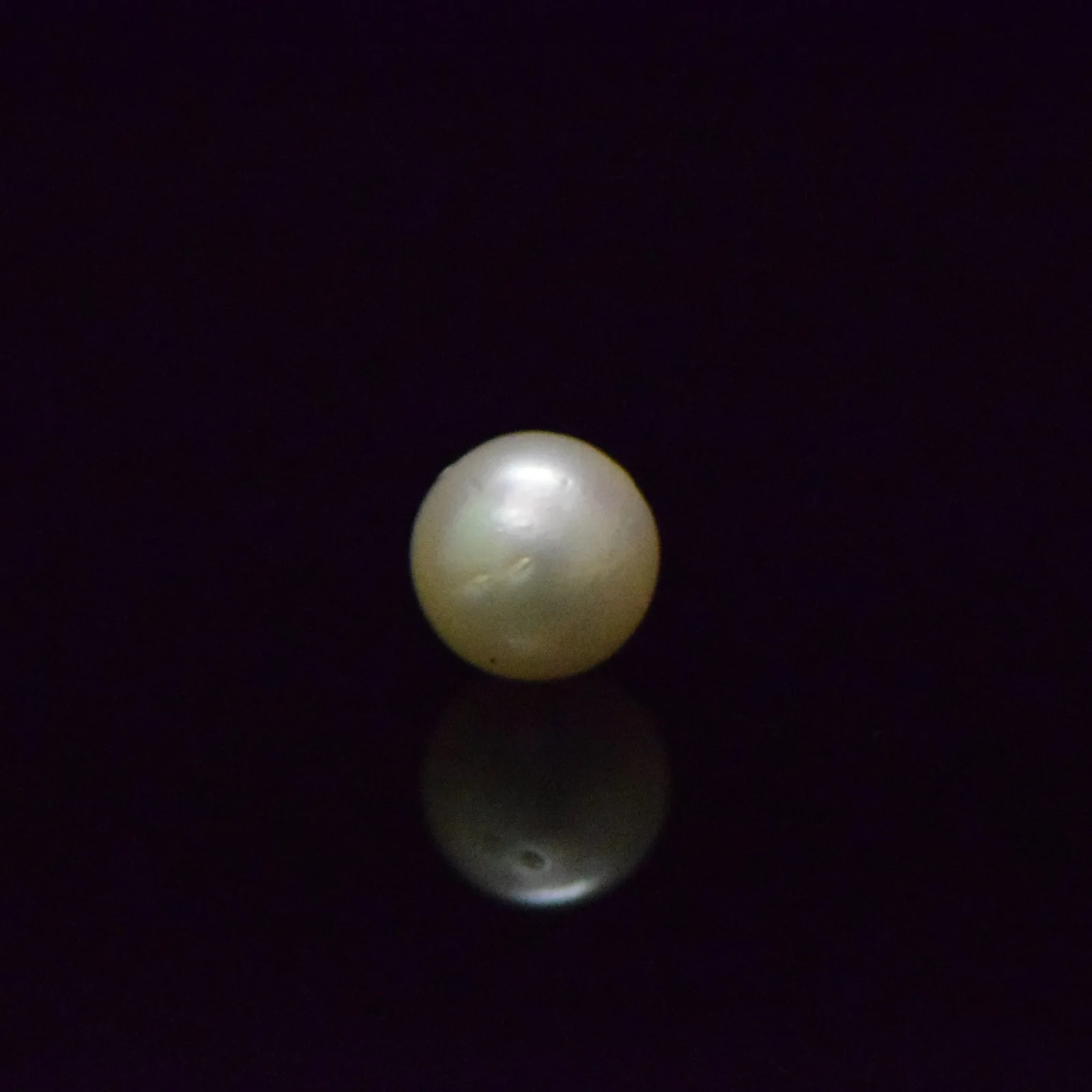 South Sea Pearl - 9.37 Carat