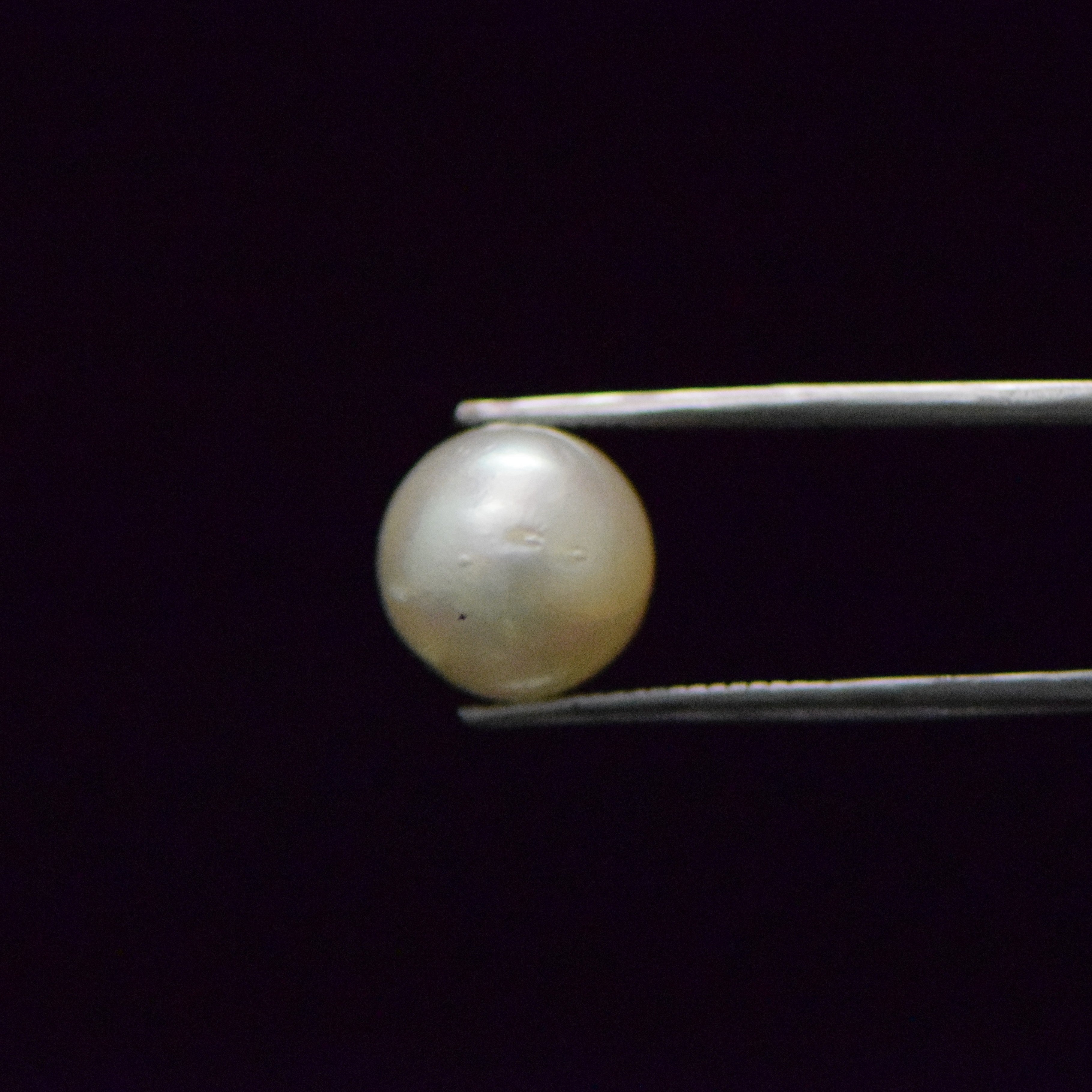 South Sea Pearl - 9.37 Carat