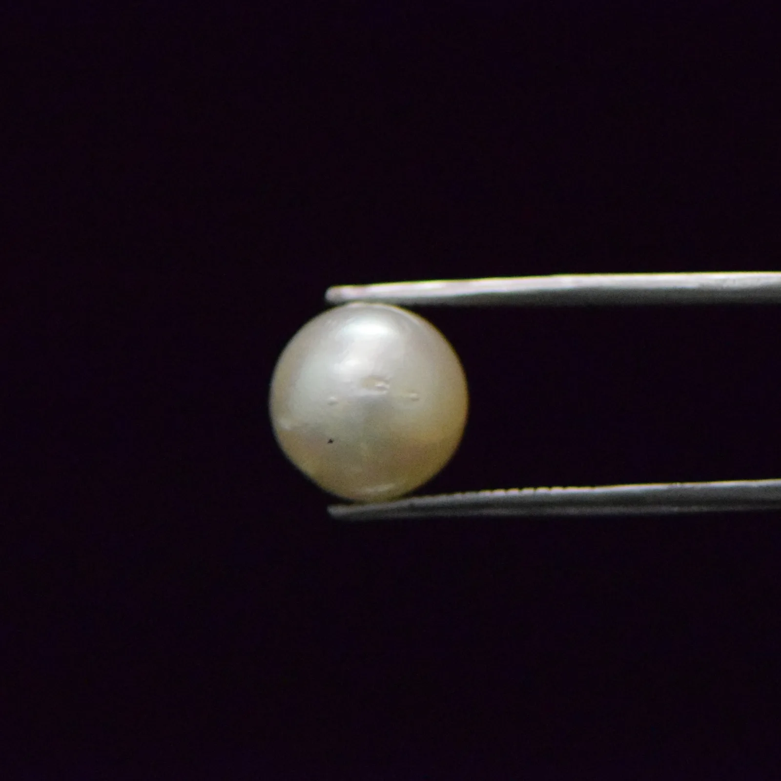 South Sea Pearl - 9.37 Carat