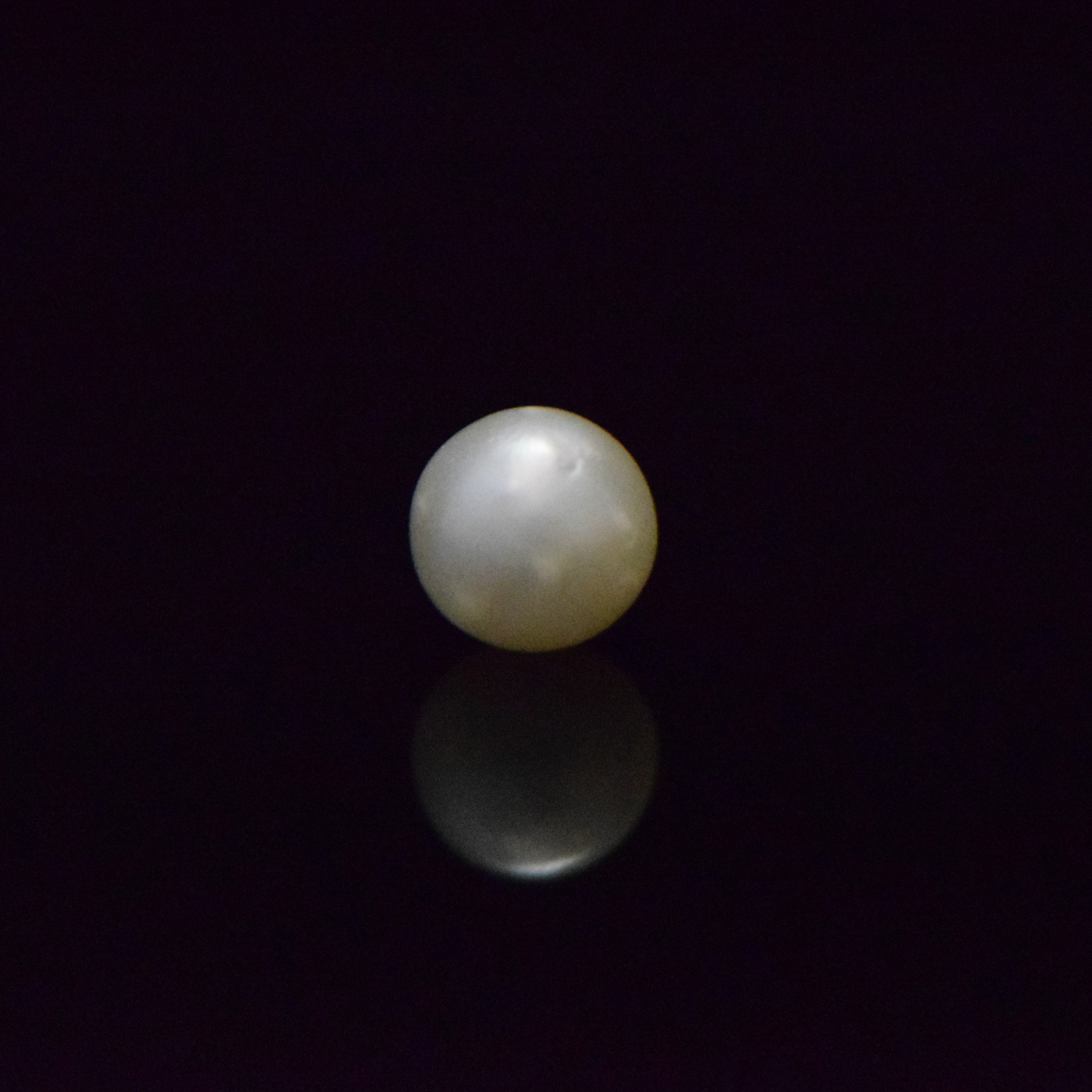 South Sea Pearl - 8.51 Carat