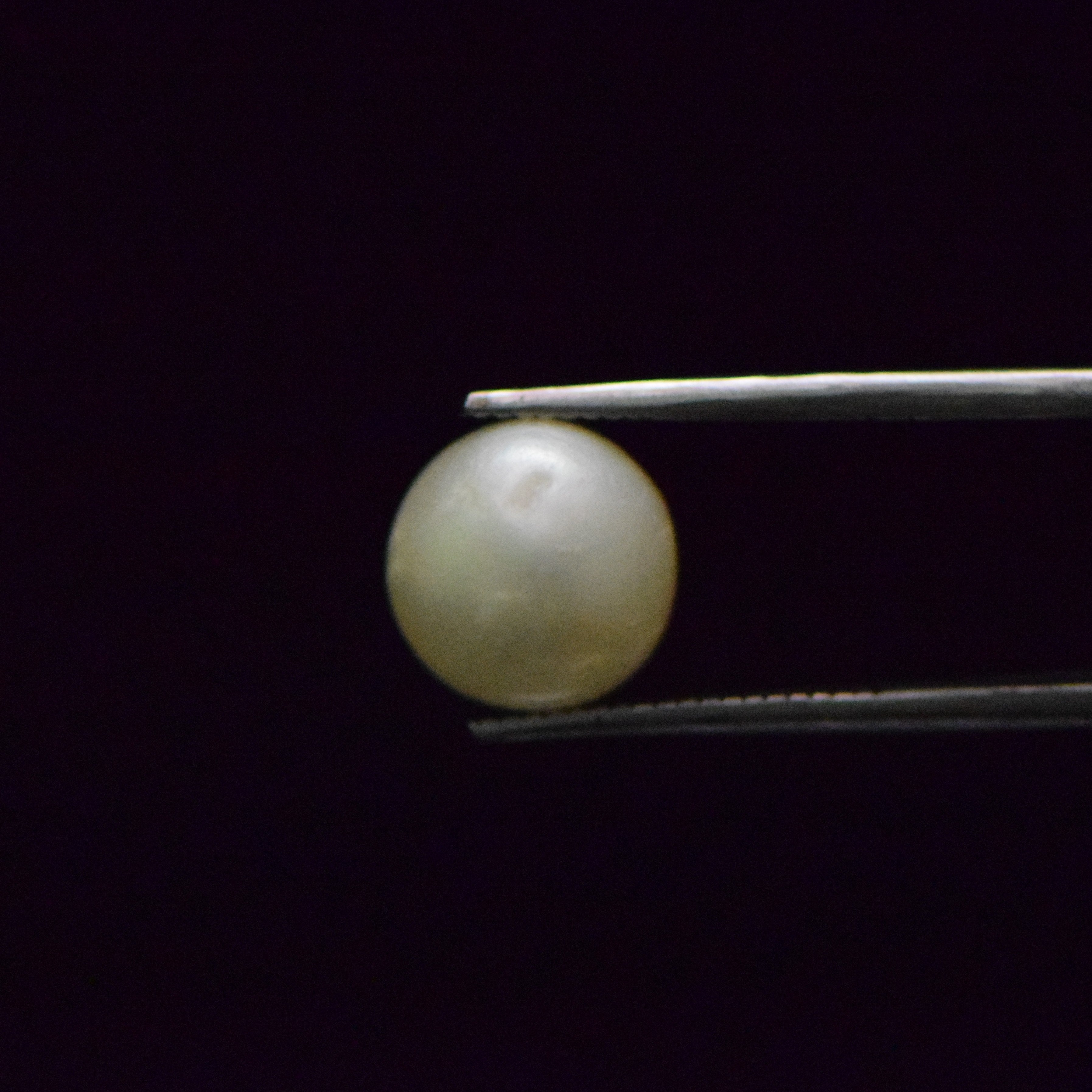South Sea Pearl - 8.51 Carat