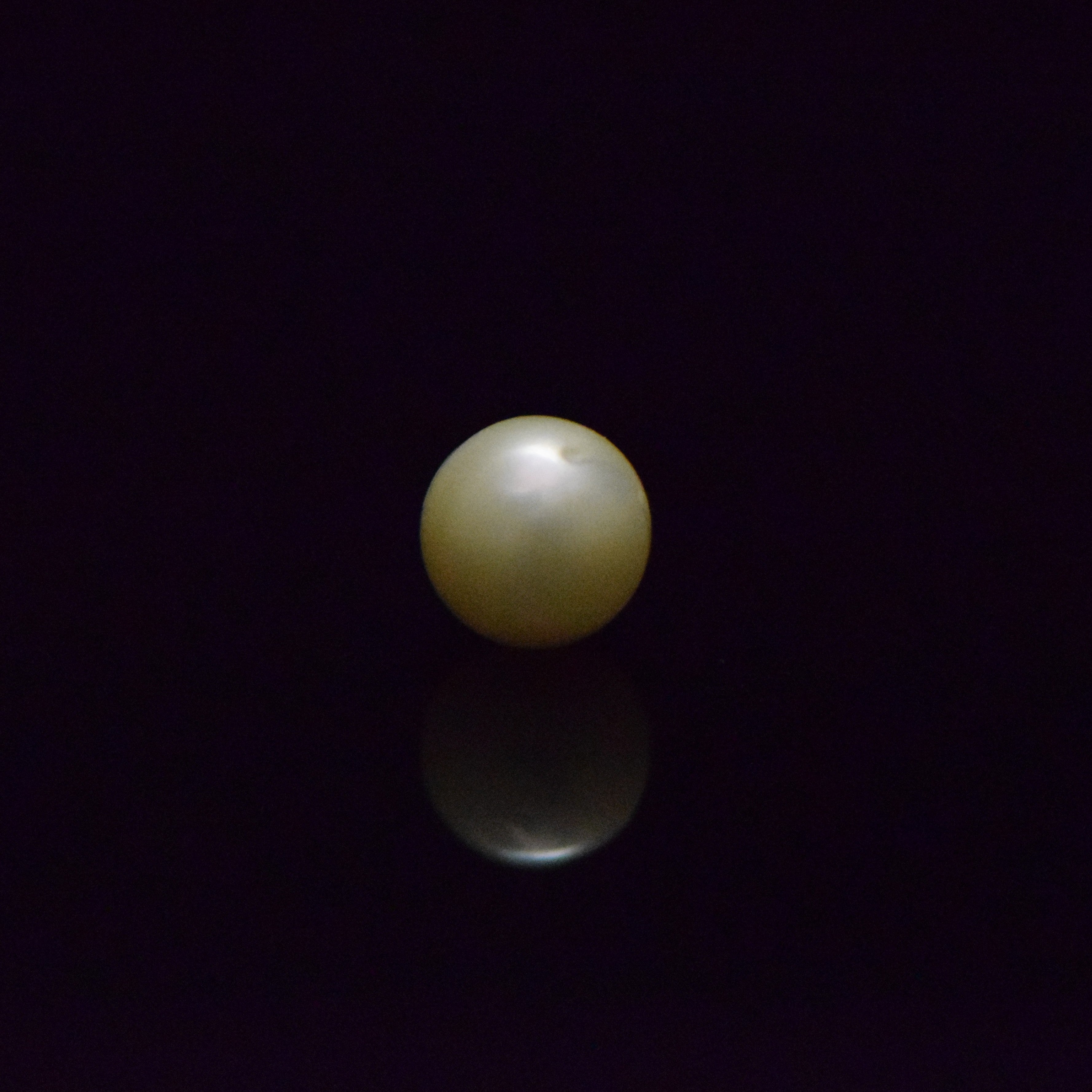 South Sea Pearl - 7.37 Carat