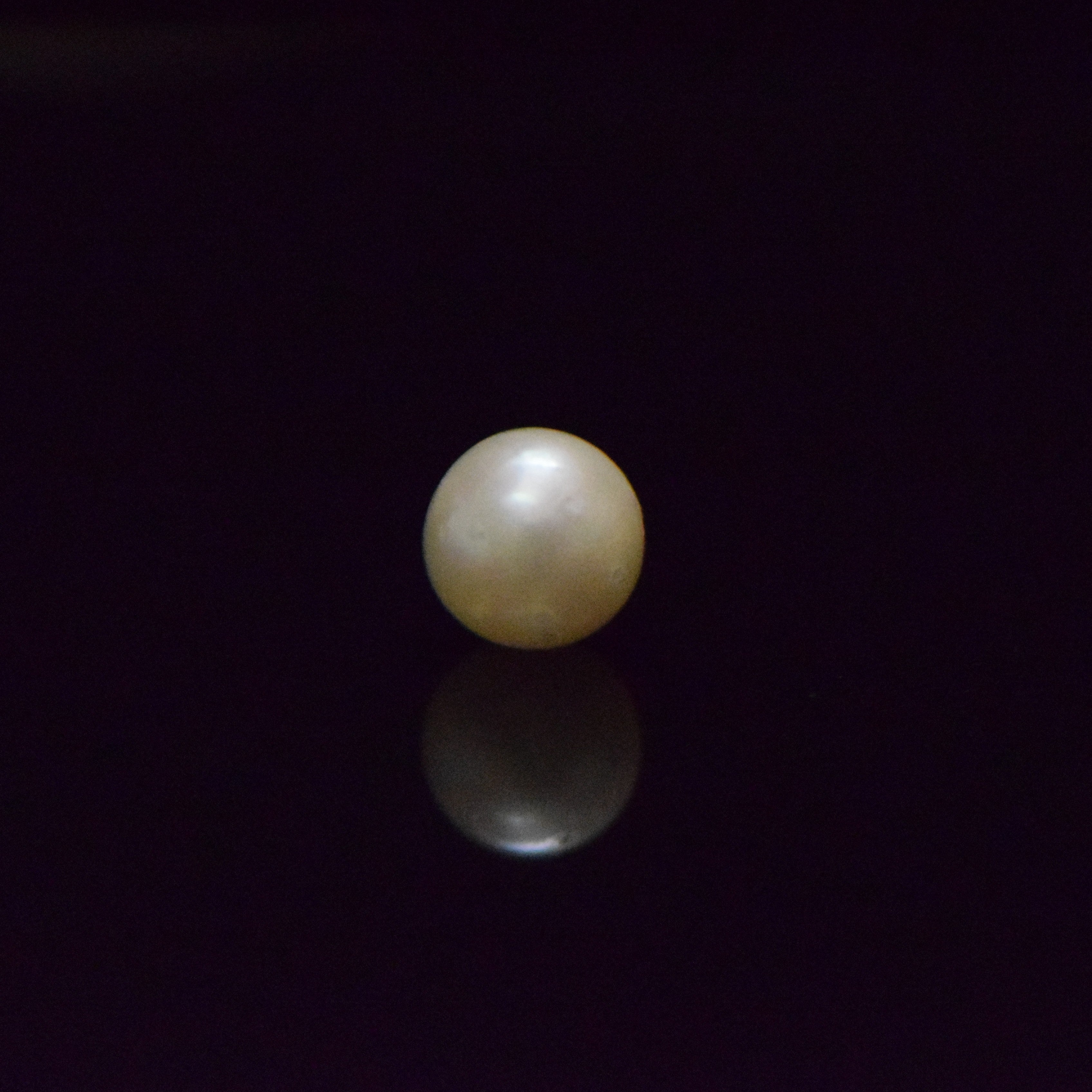 South Sea Pearl - 5.55 Carat