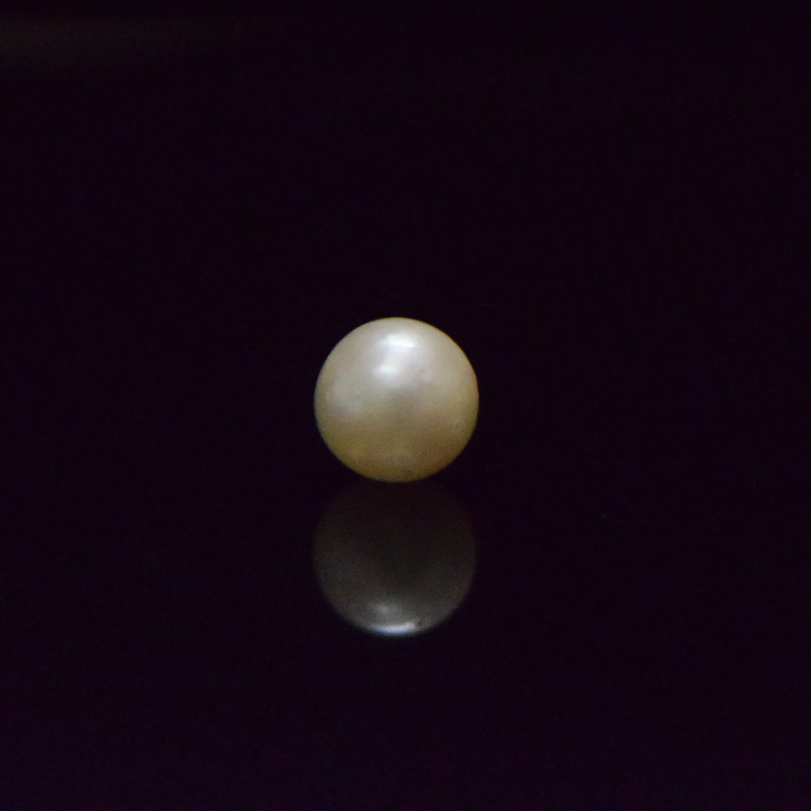 South Sea Pearl - 5.55 Carat