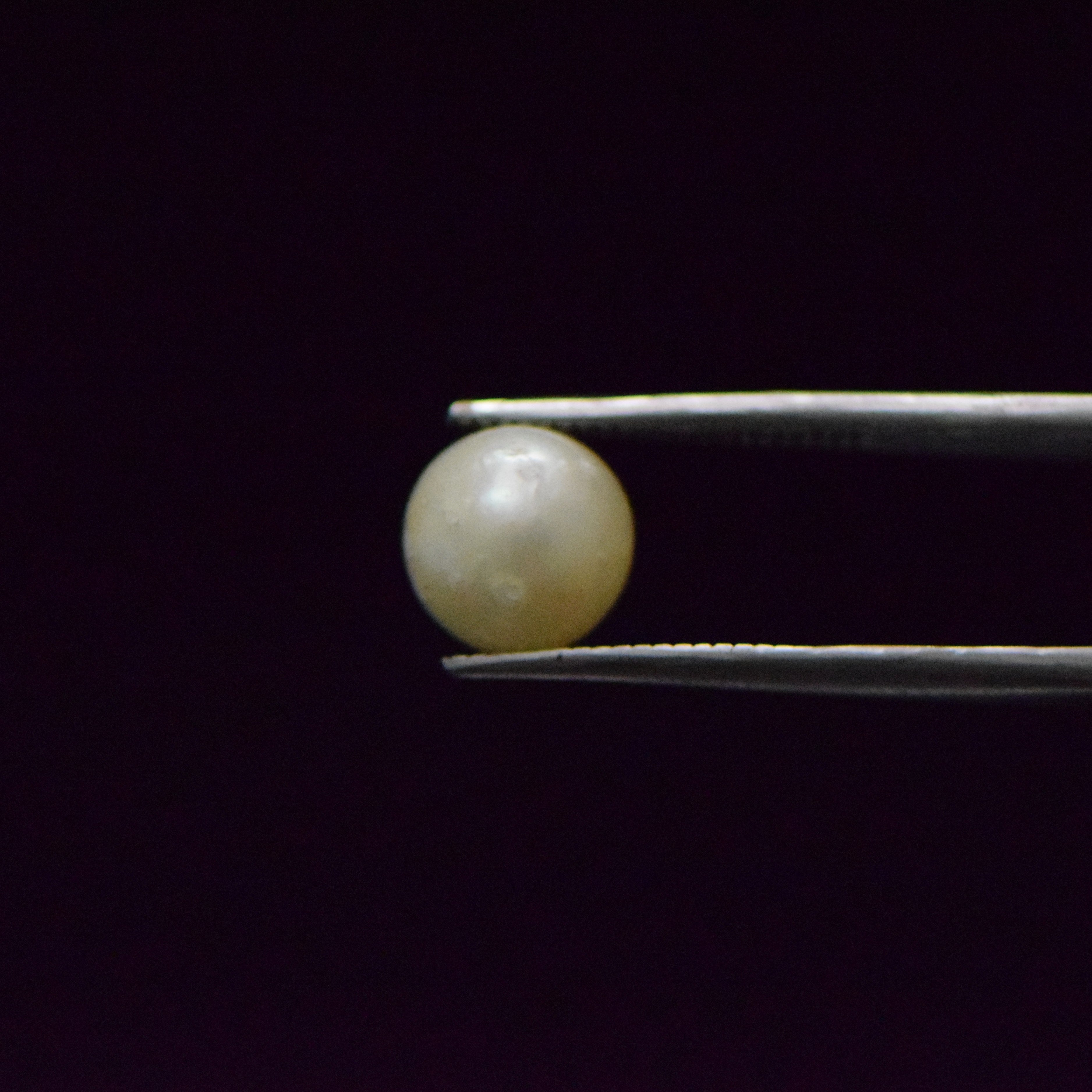 South Sea Pearl - 5.55 Carat