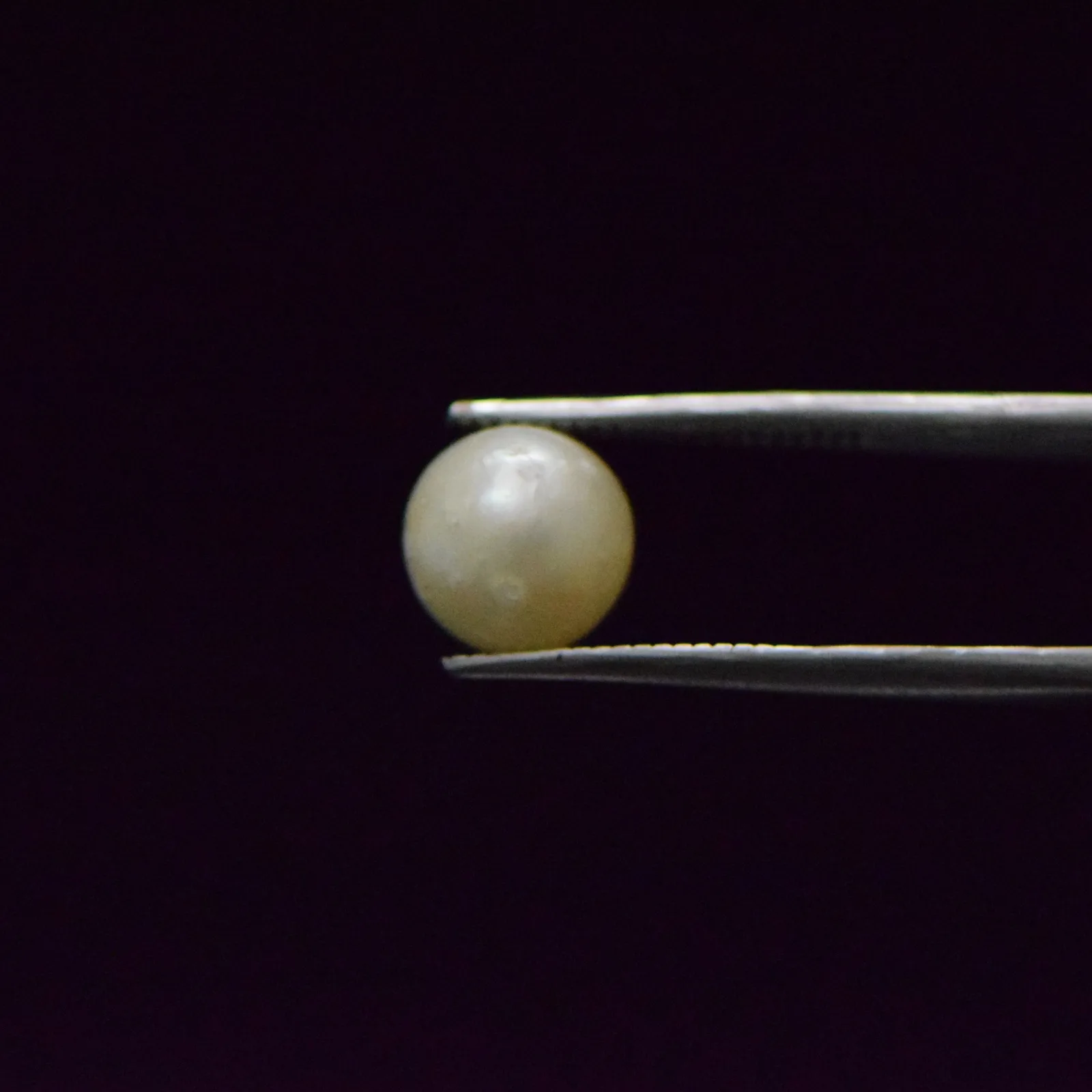 South Sea Pearl - 5.55 Carat