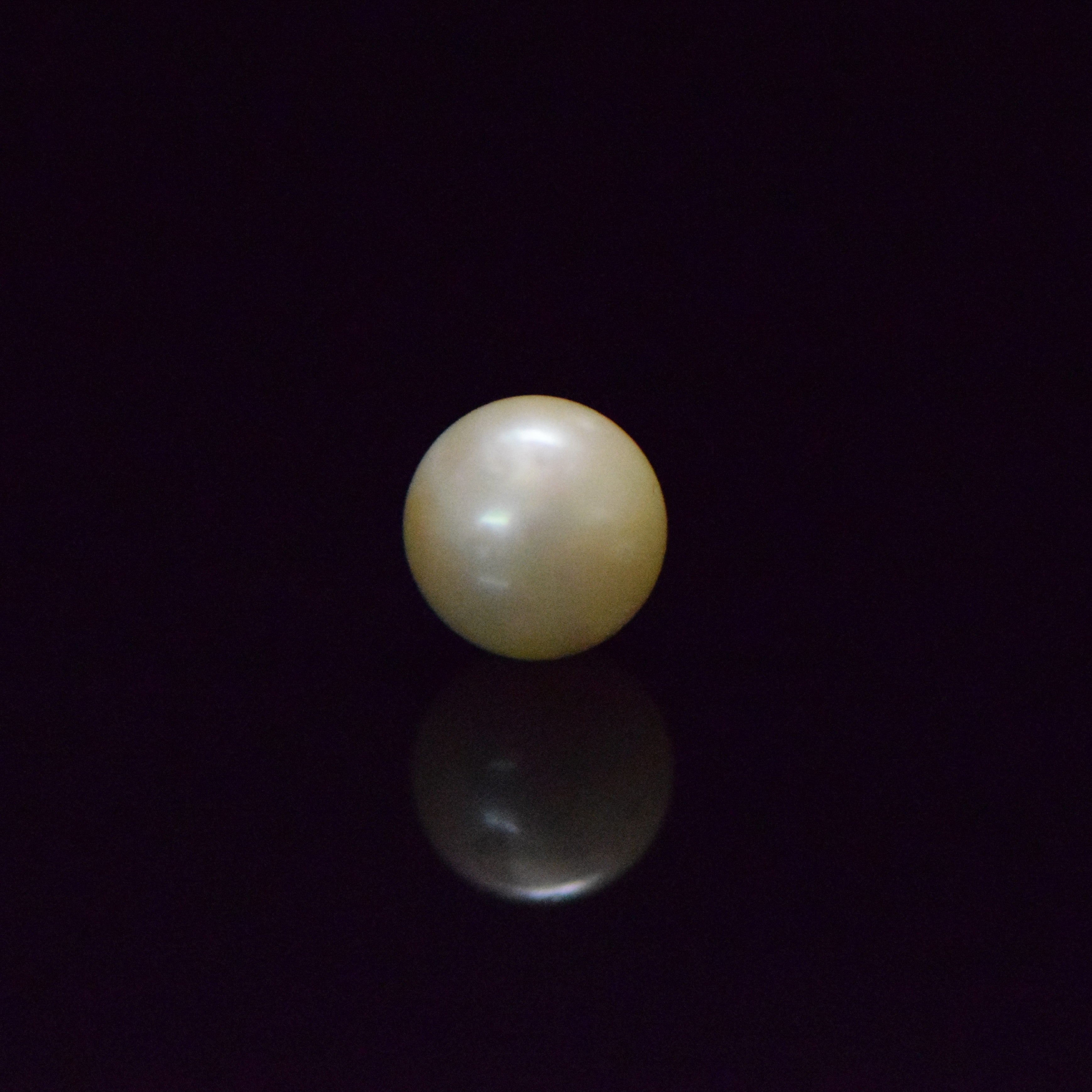 South Sea Pearl - 7.67 Carat
