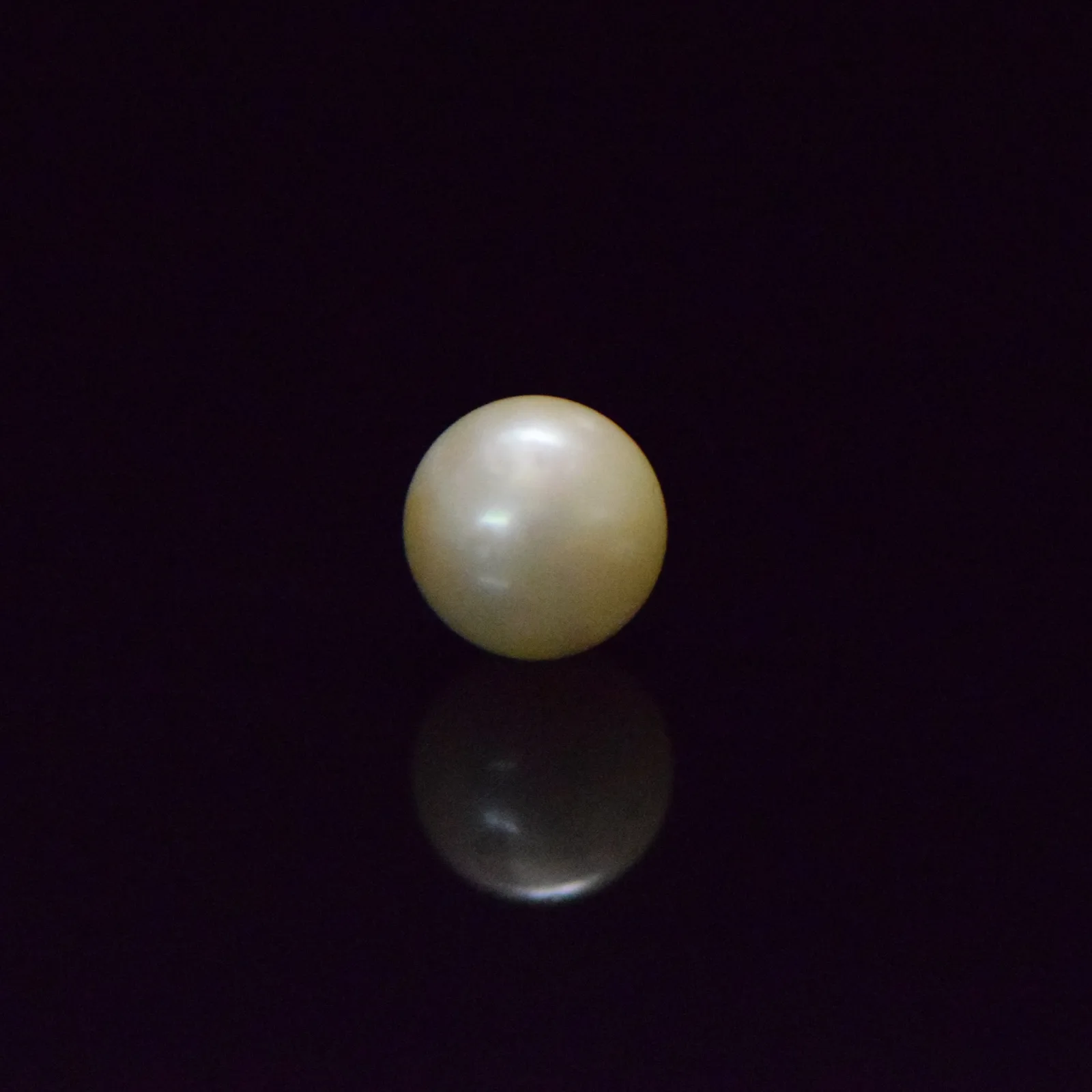 South Sea Pearl - 7.67 Carat