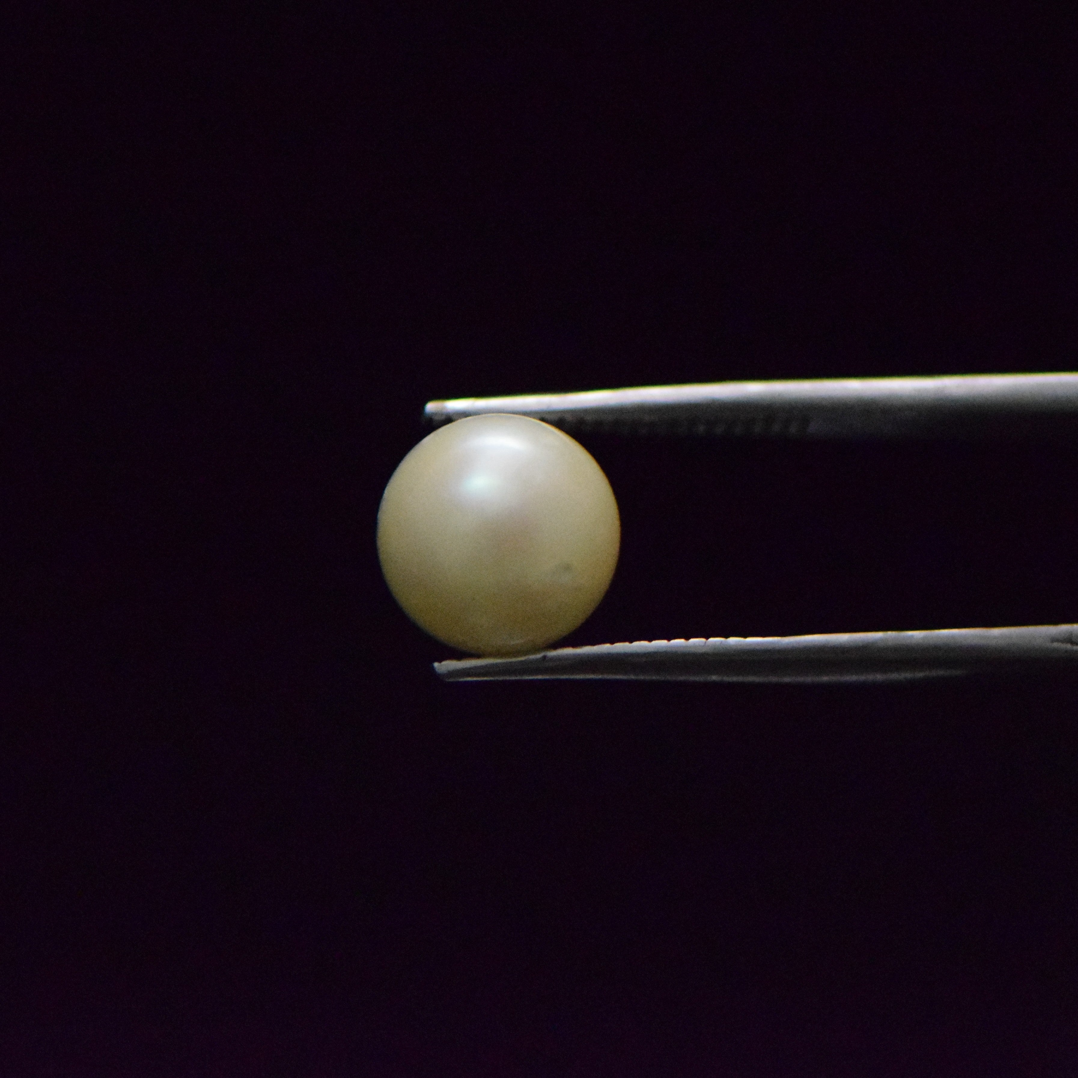 South Sea Pearl - 7.67 Carat